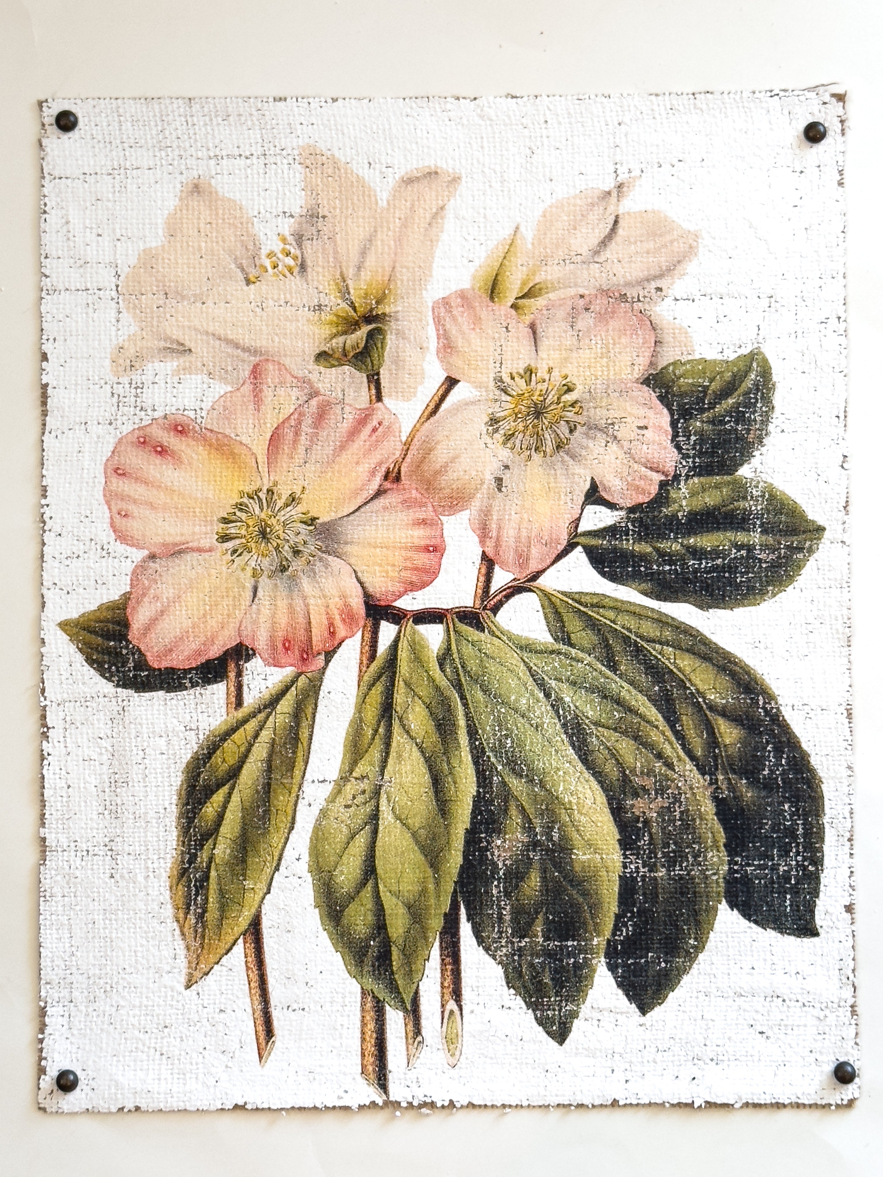 Pink and Cream Flowers - Winter's Jewel