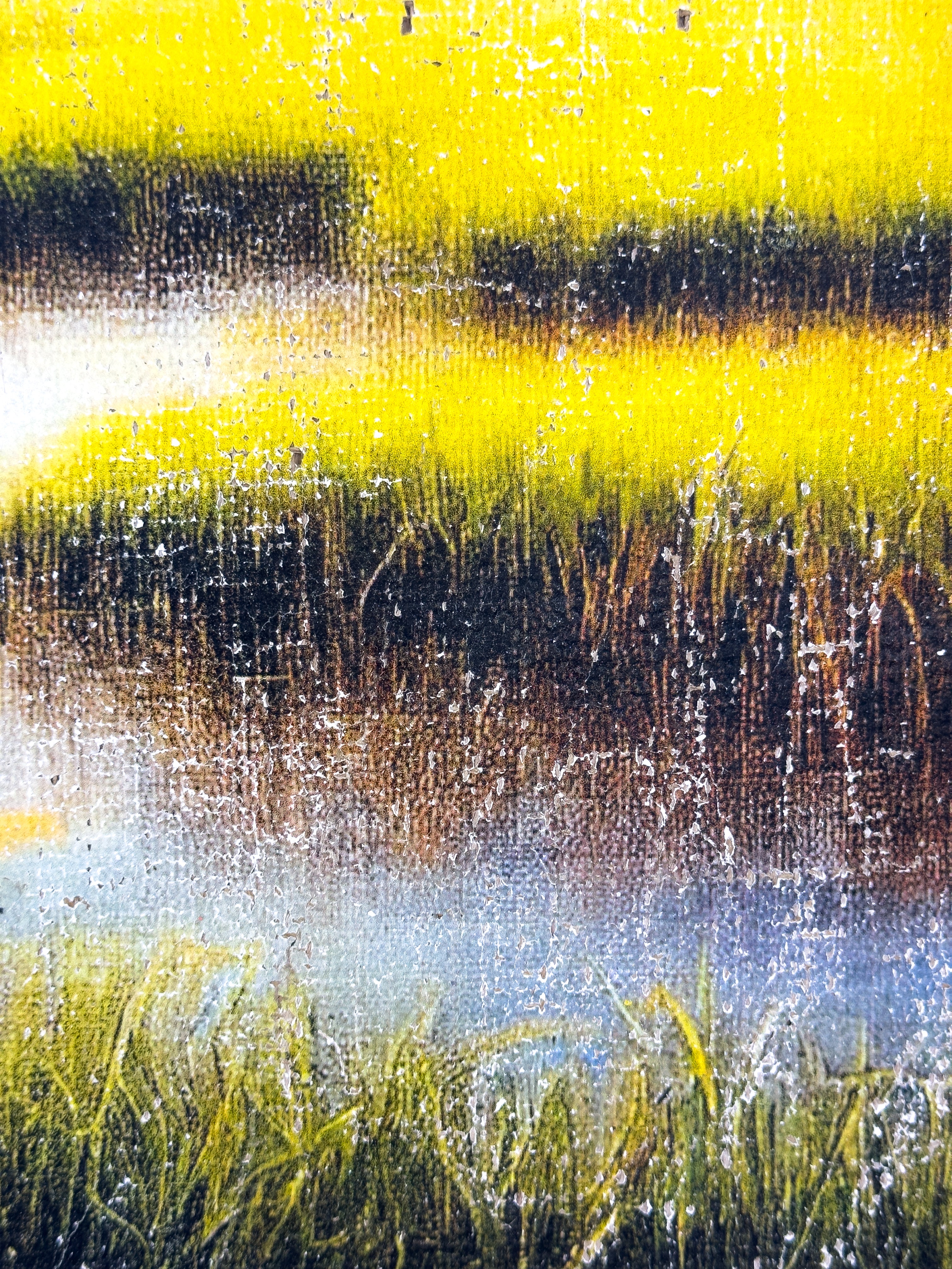 The Magic of the Marsh