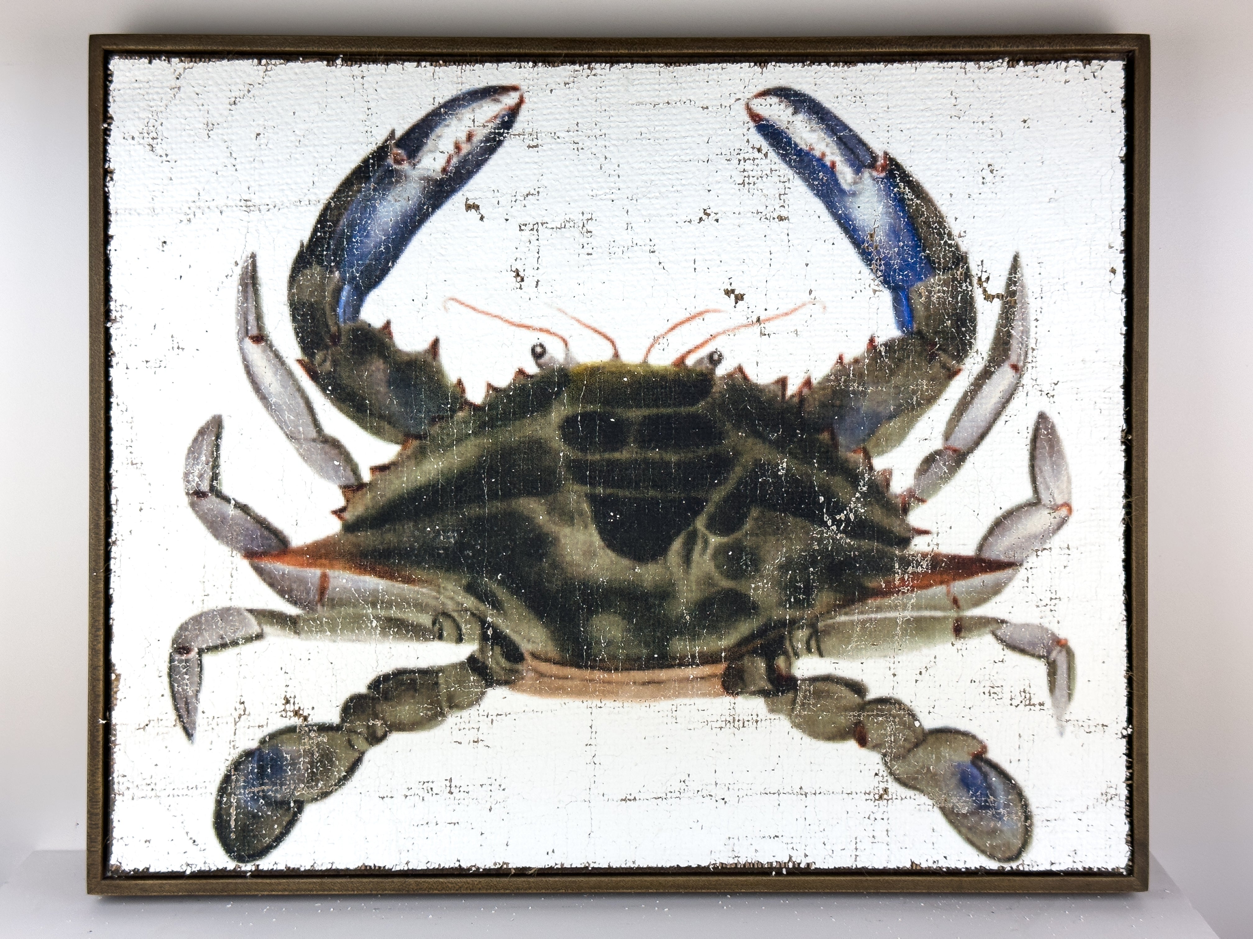 Blue Crab