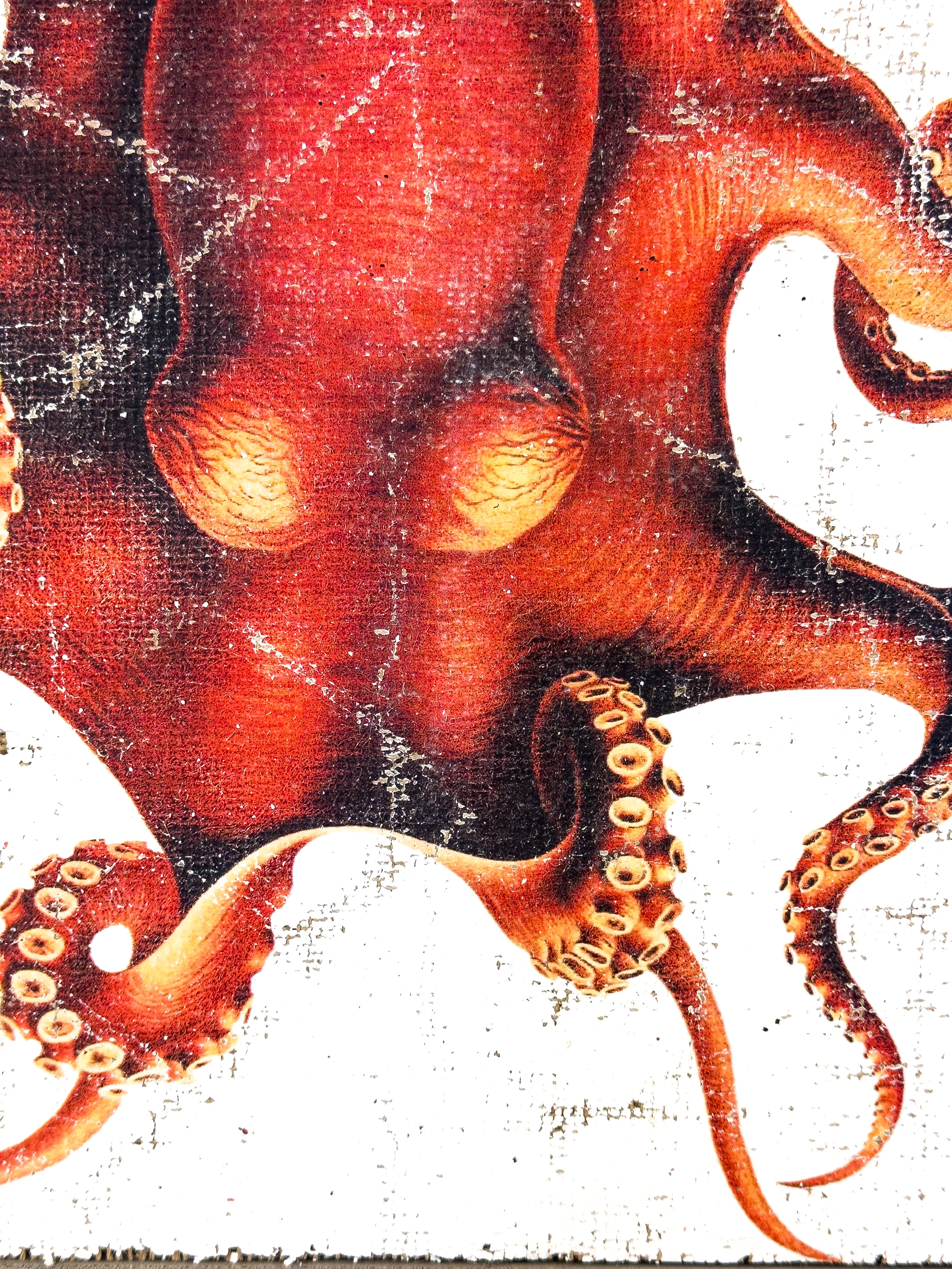 Red Octopus