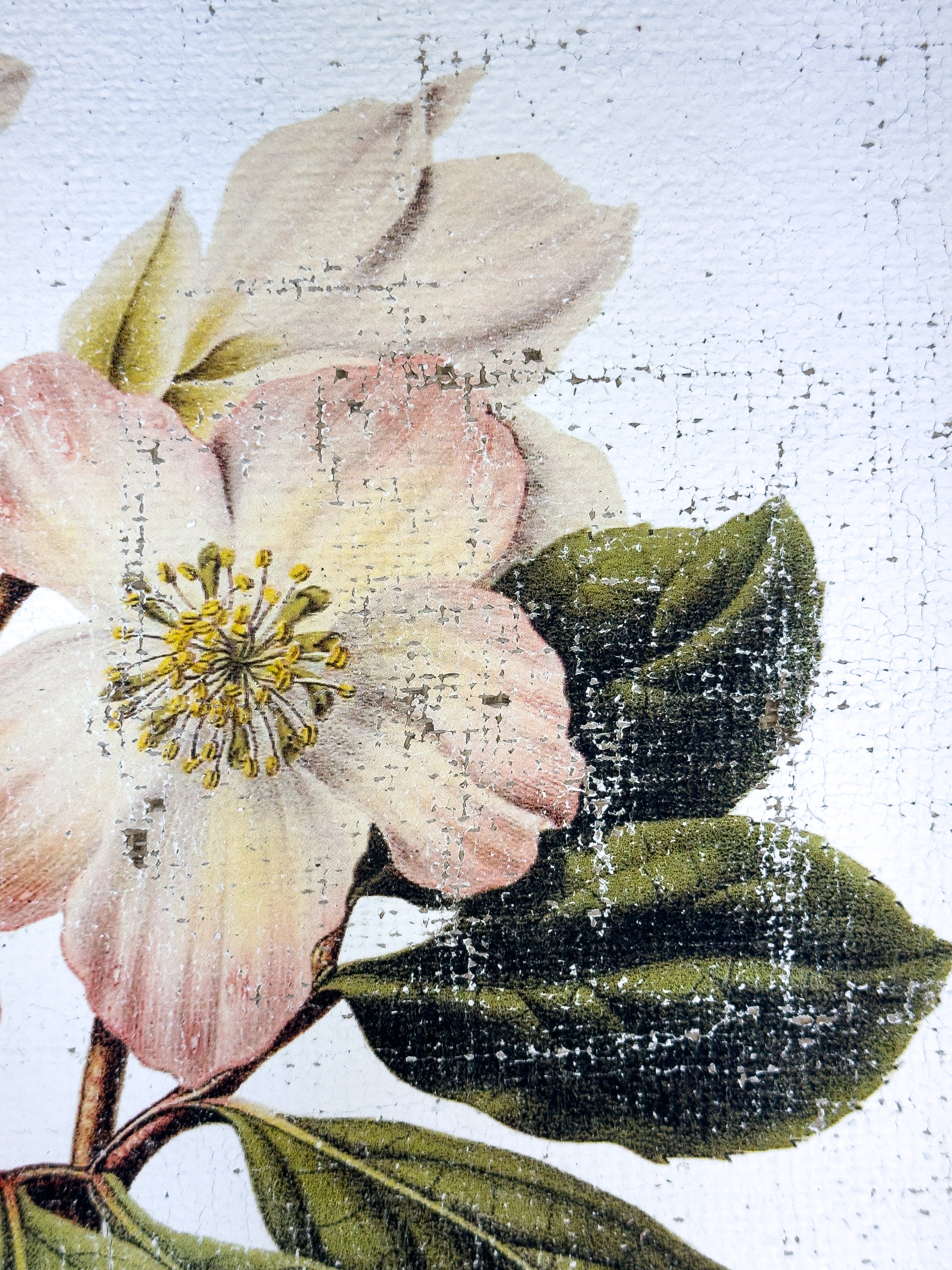 Pink and Cream Flowers - Winter's Jewel