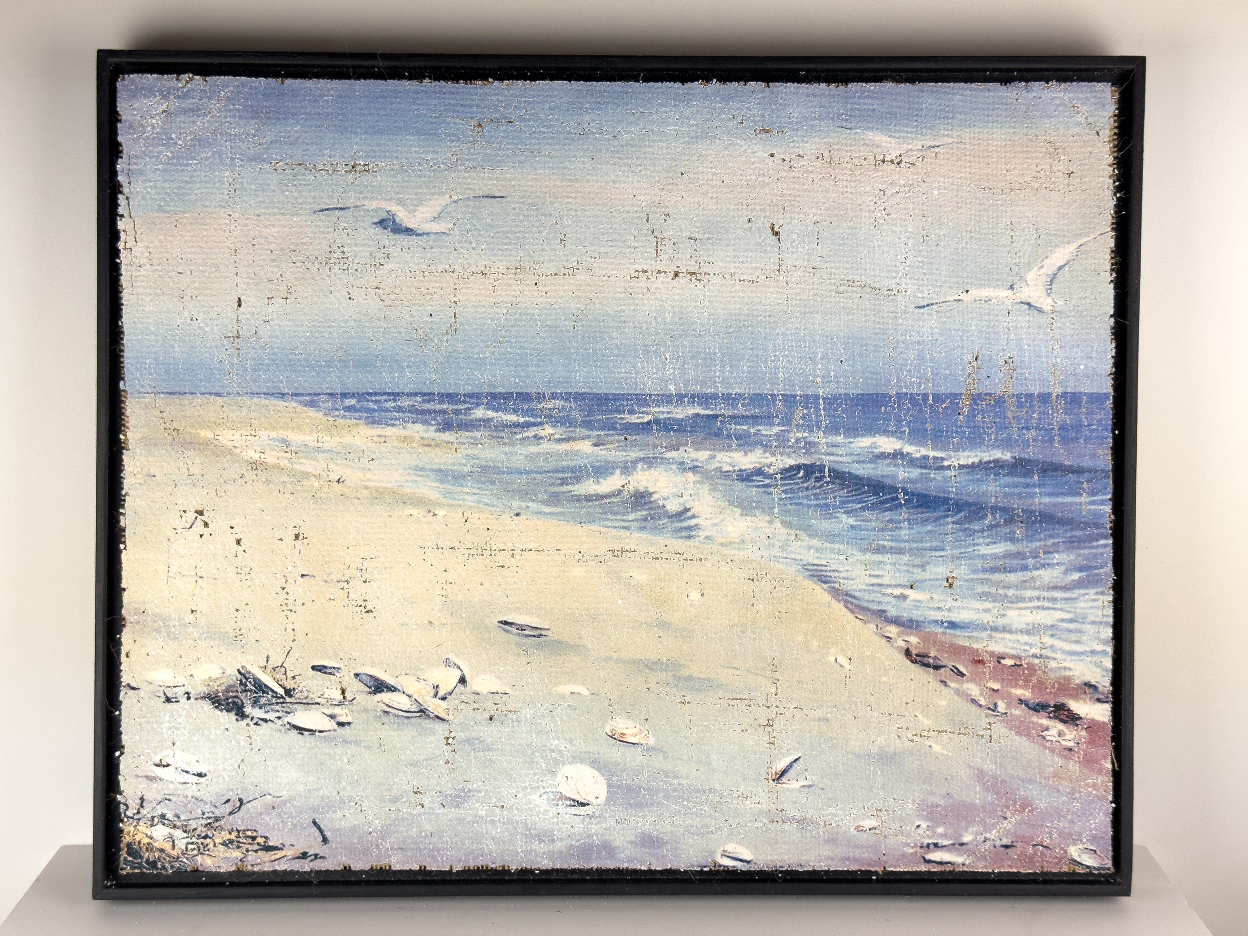 Coastal Beach Day - Where the Gulls Lead