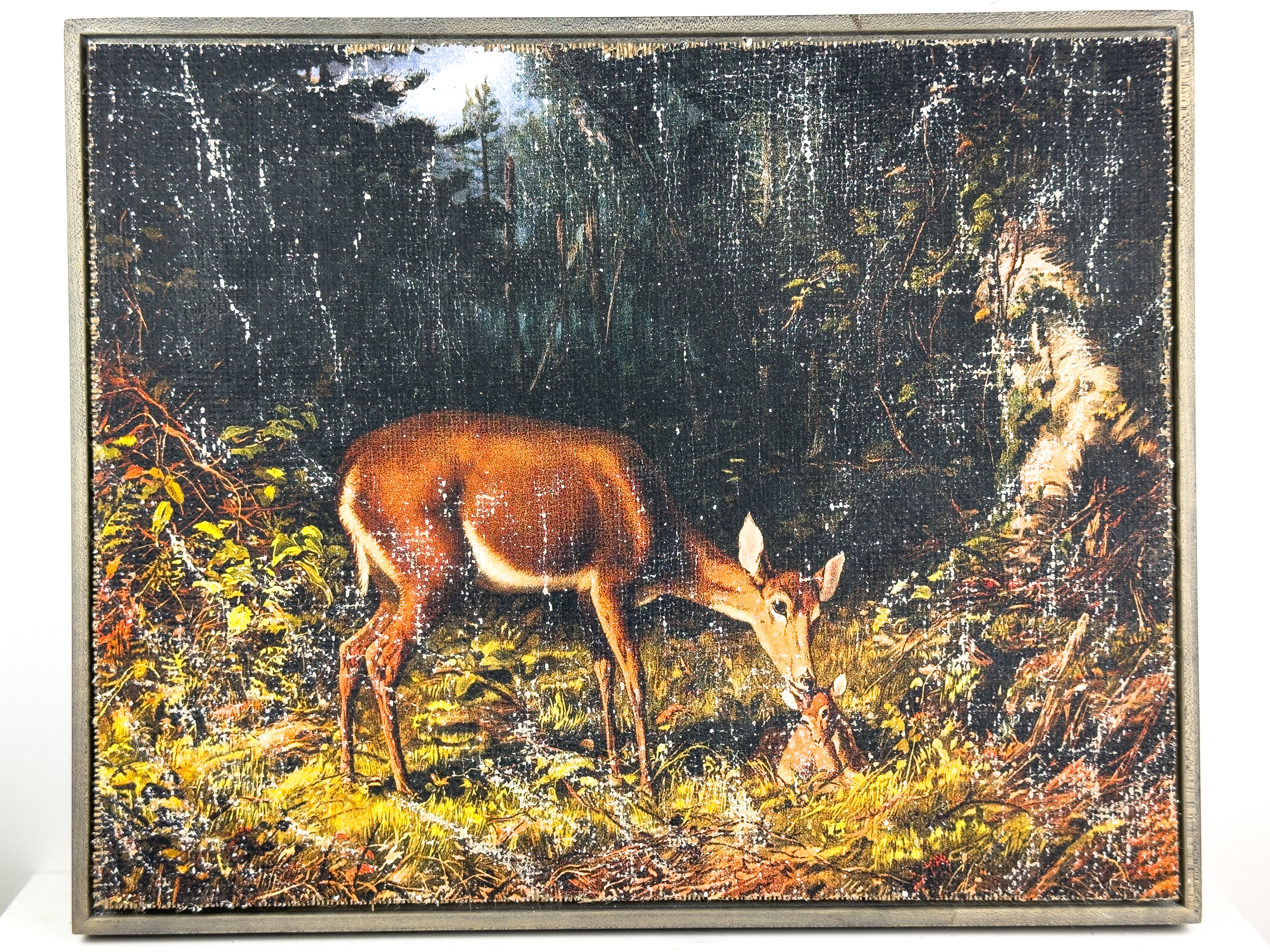 Mother and Fawn in Forest