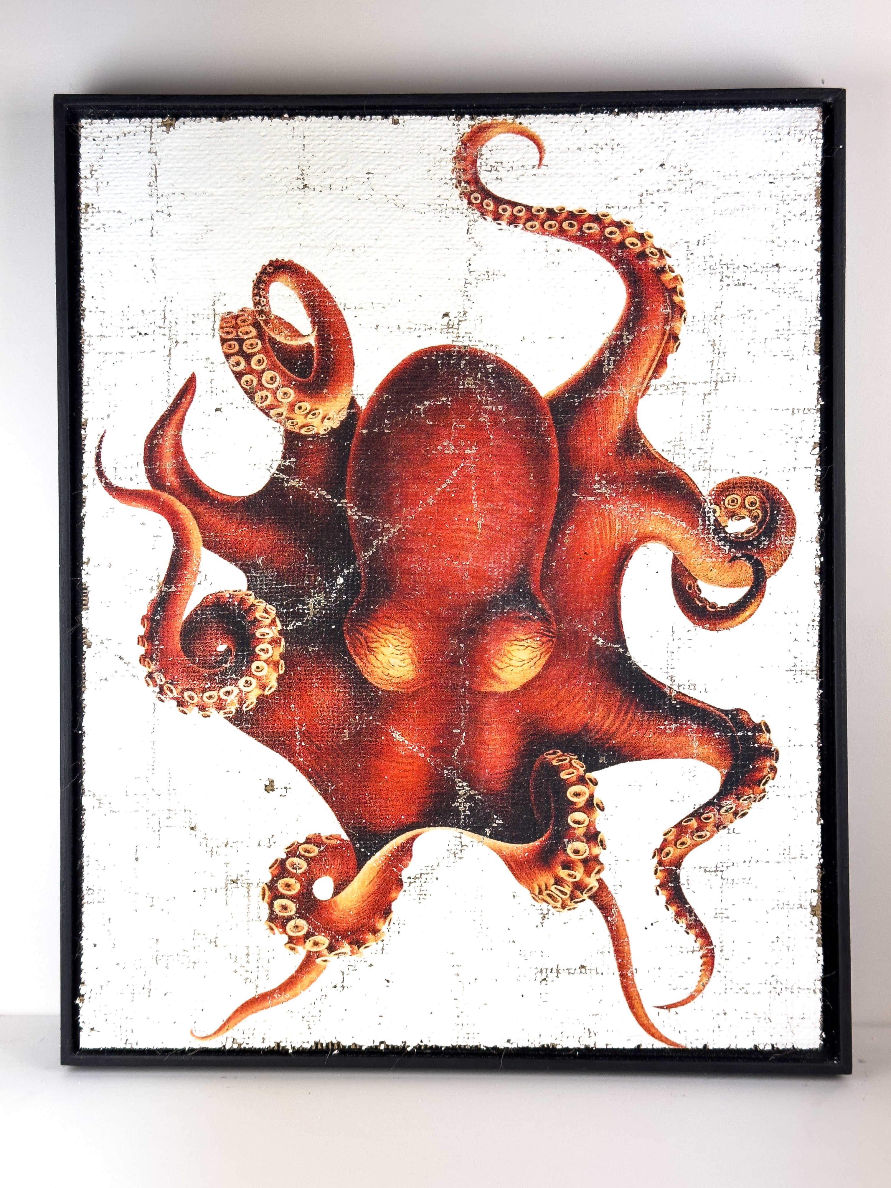Red Octopus