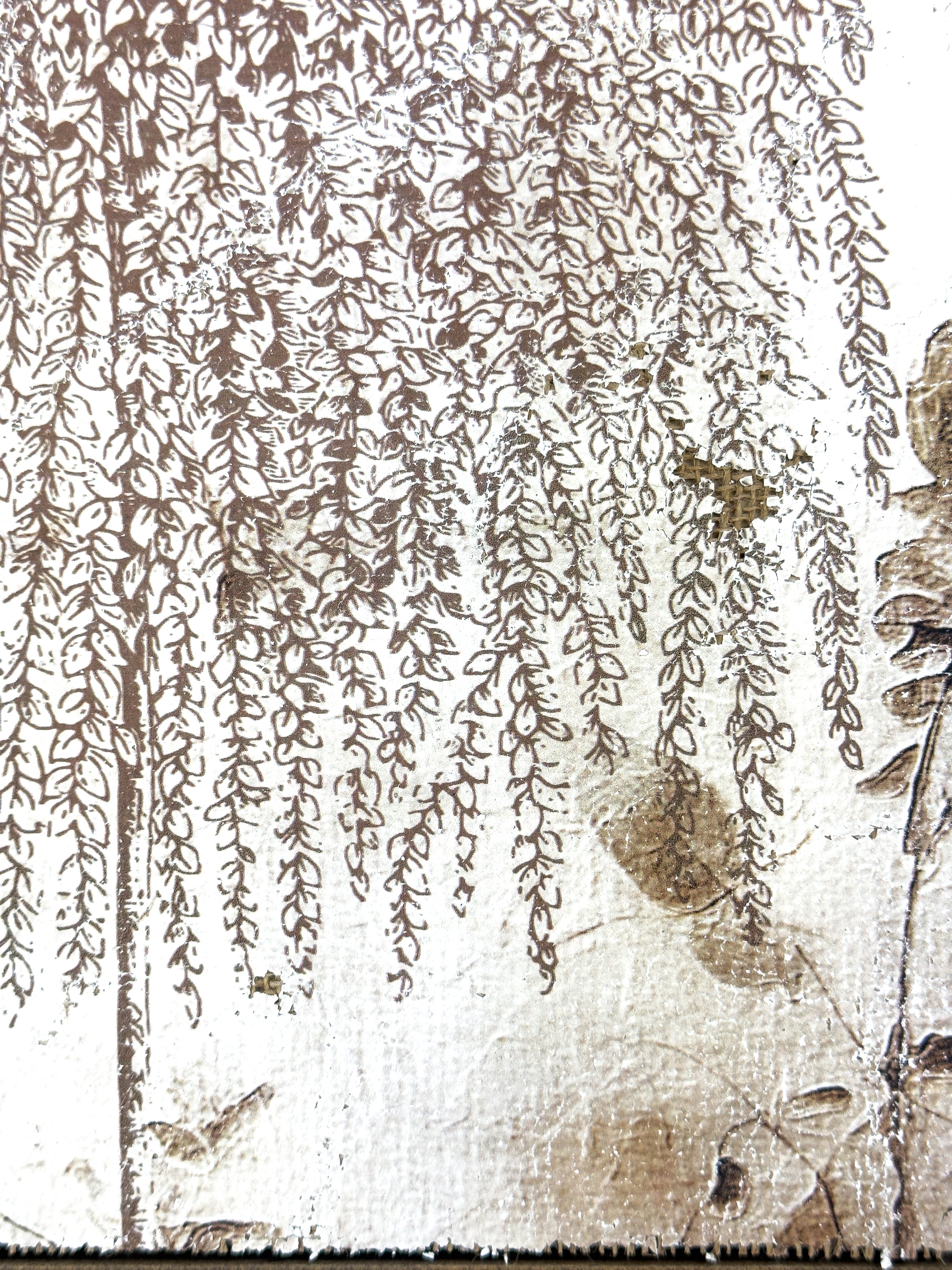 Weeping Willow - Branches of Fate