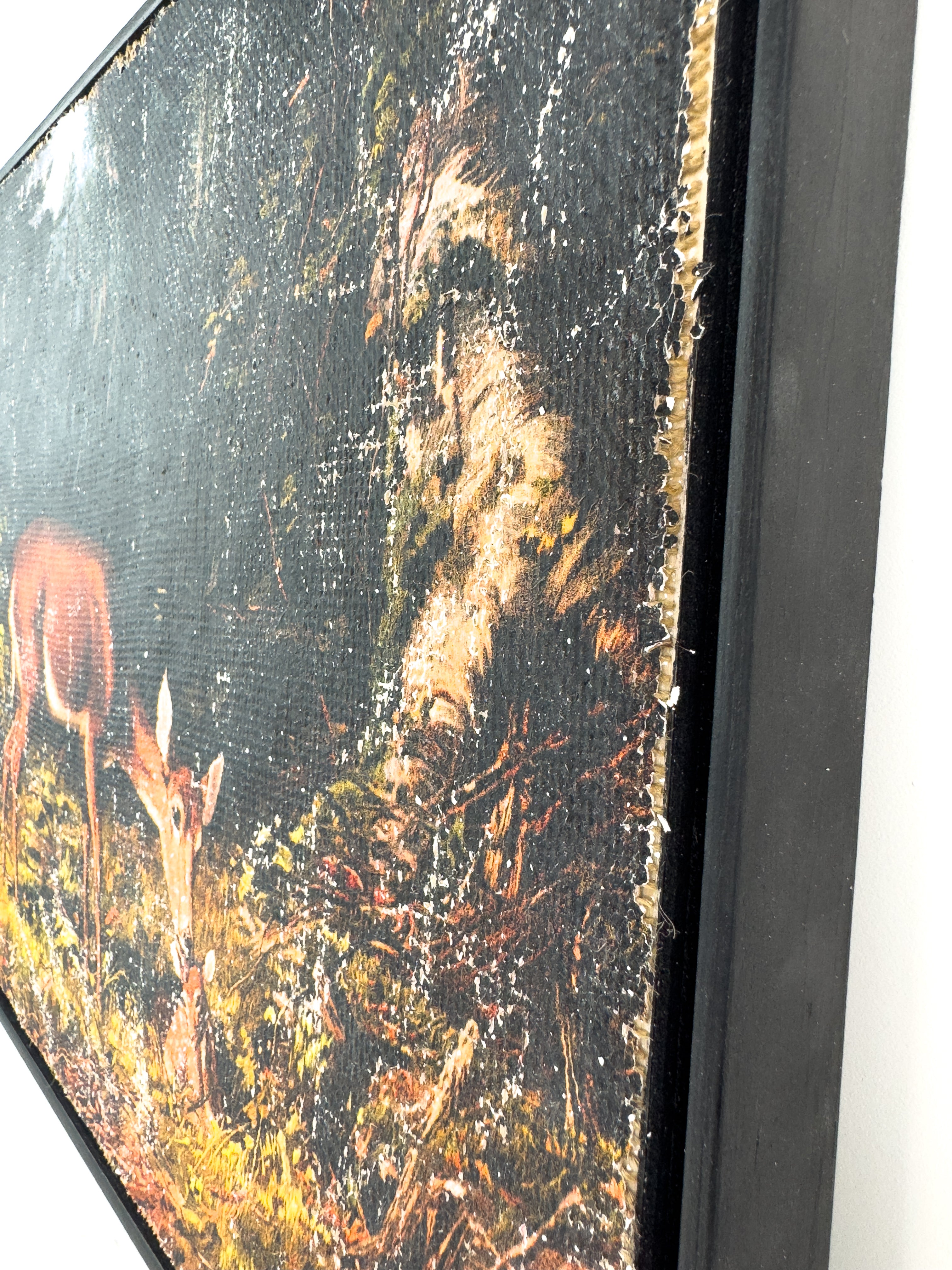 Mother and Fawn in Forest