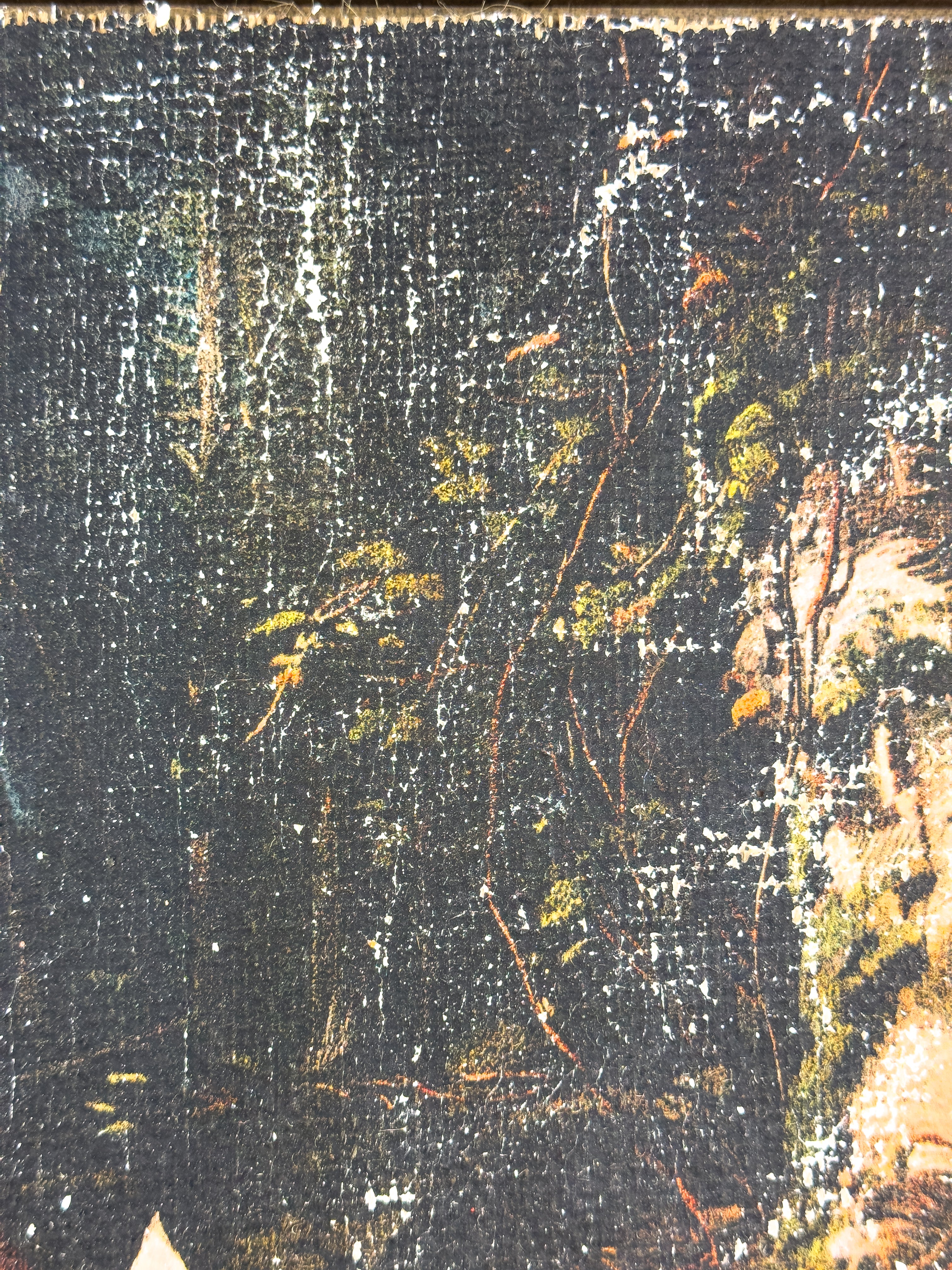 Mother and Fawn in Forest