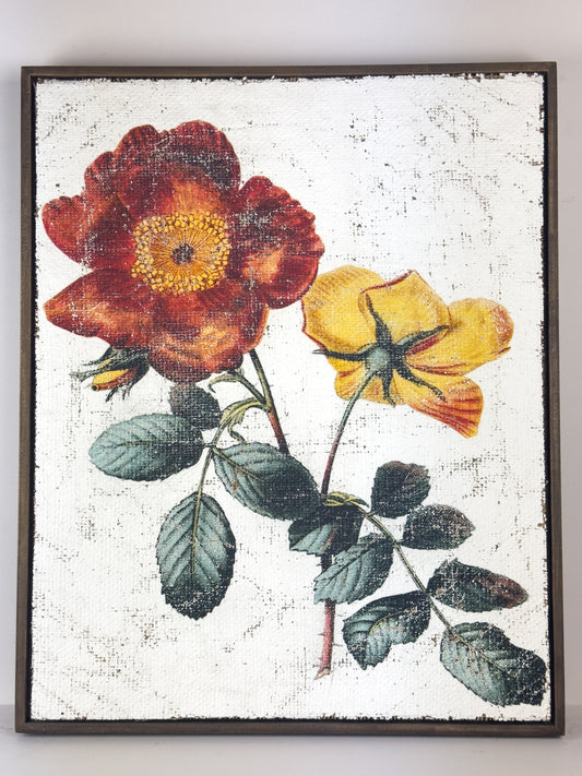 Red and Yellow Roses