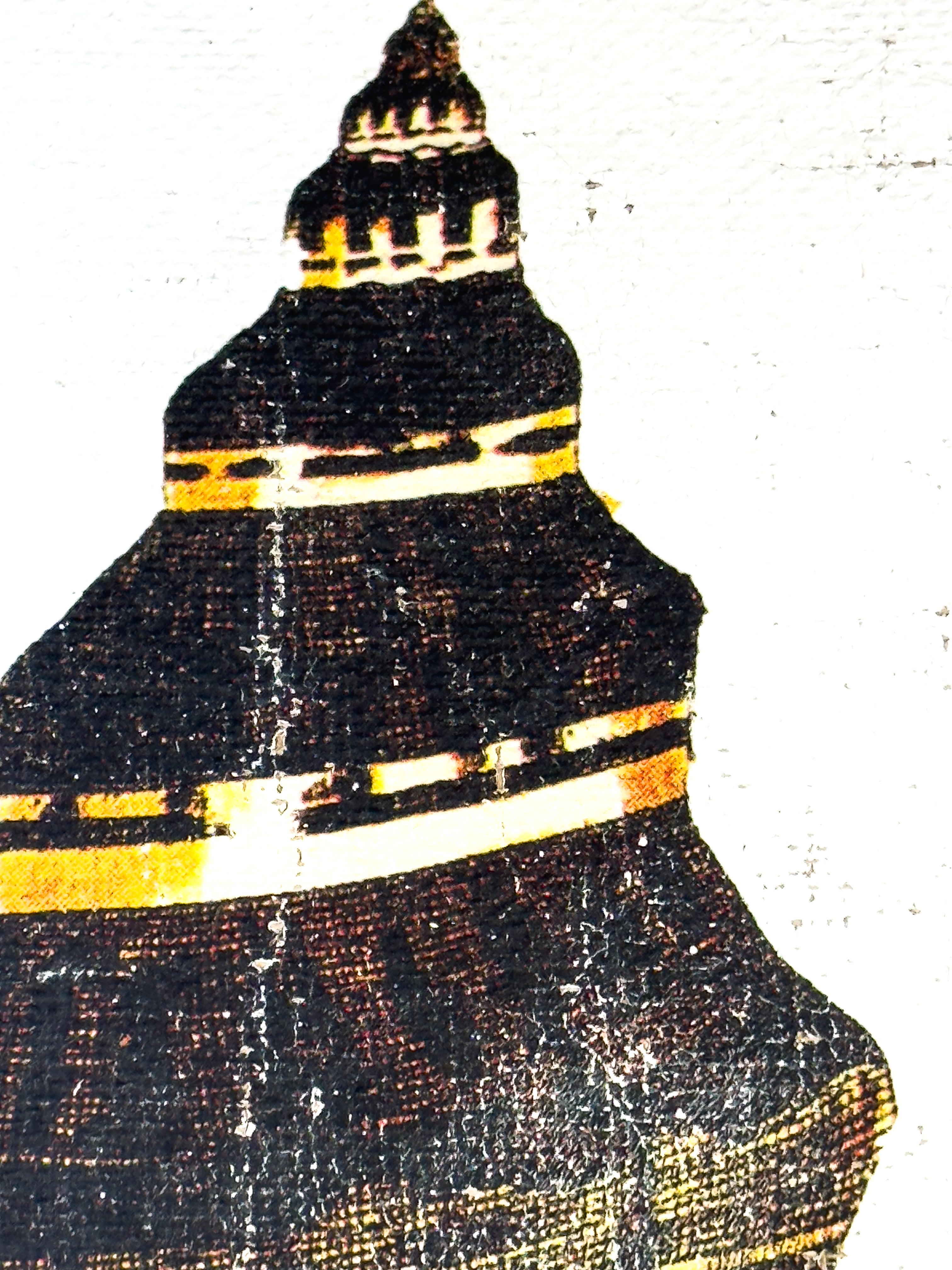 Black and Gold Cone Shell