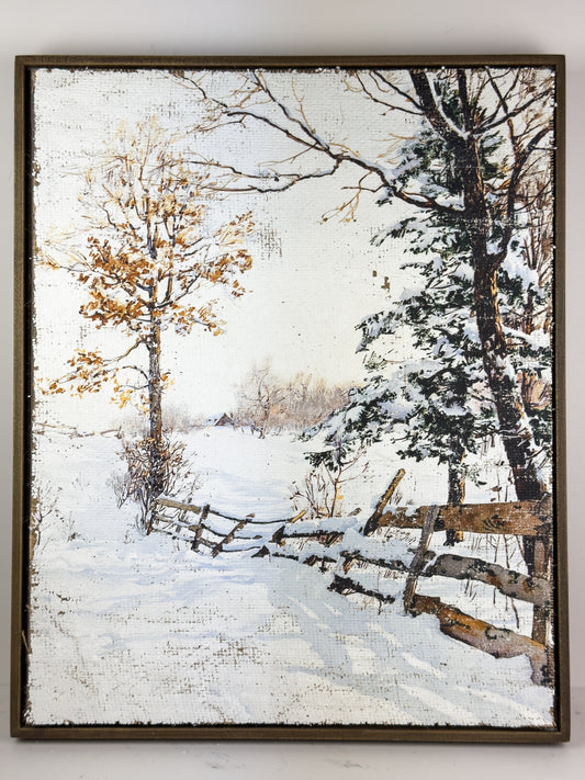 Winter Walk