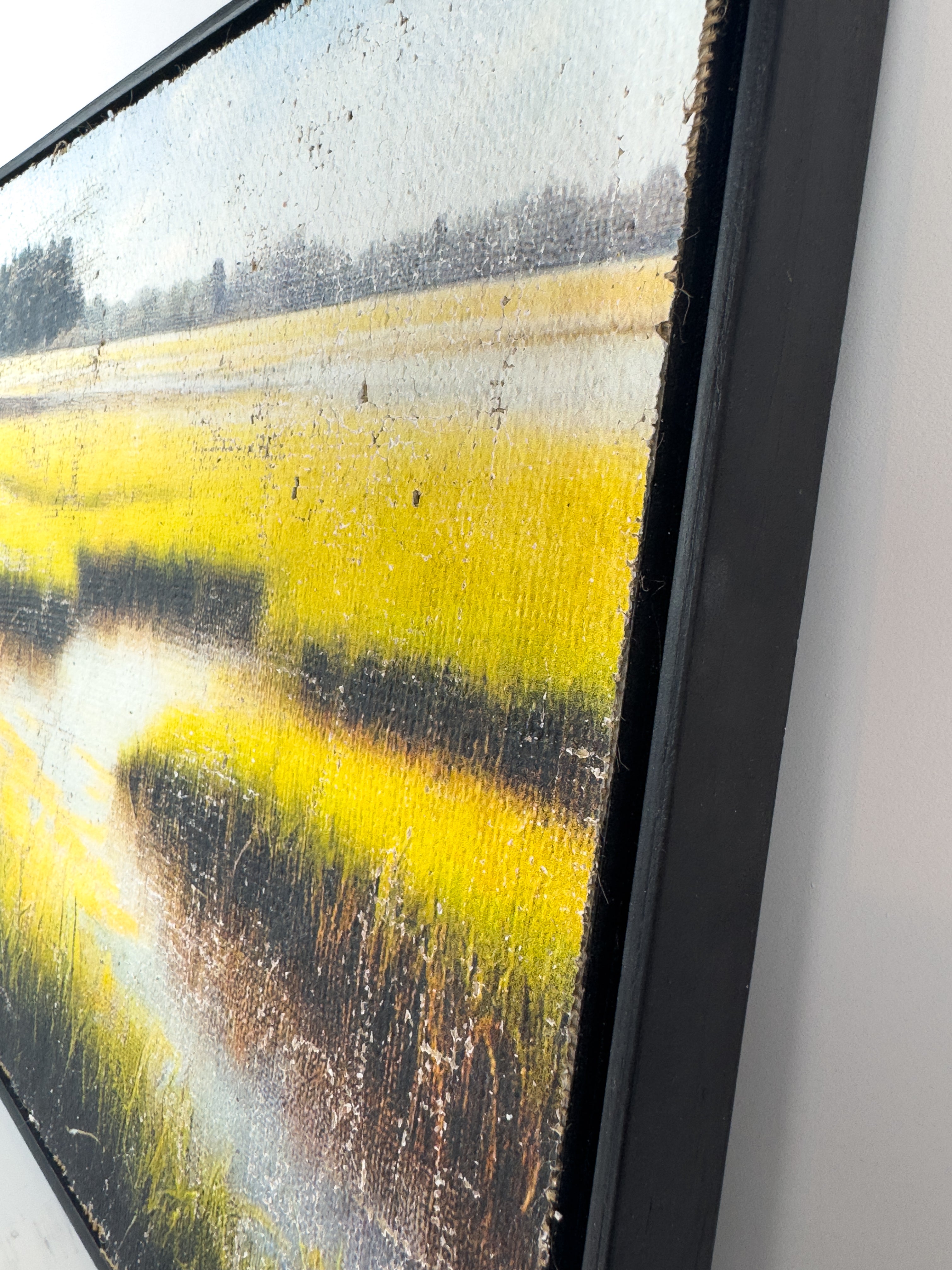 The Magic of the Marsh