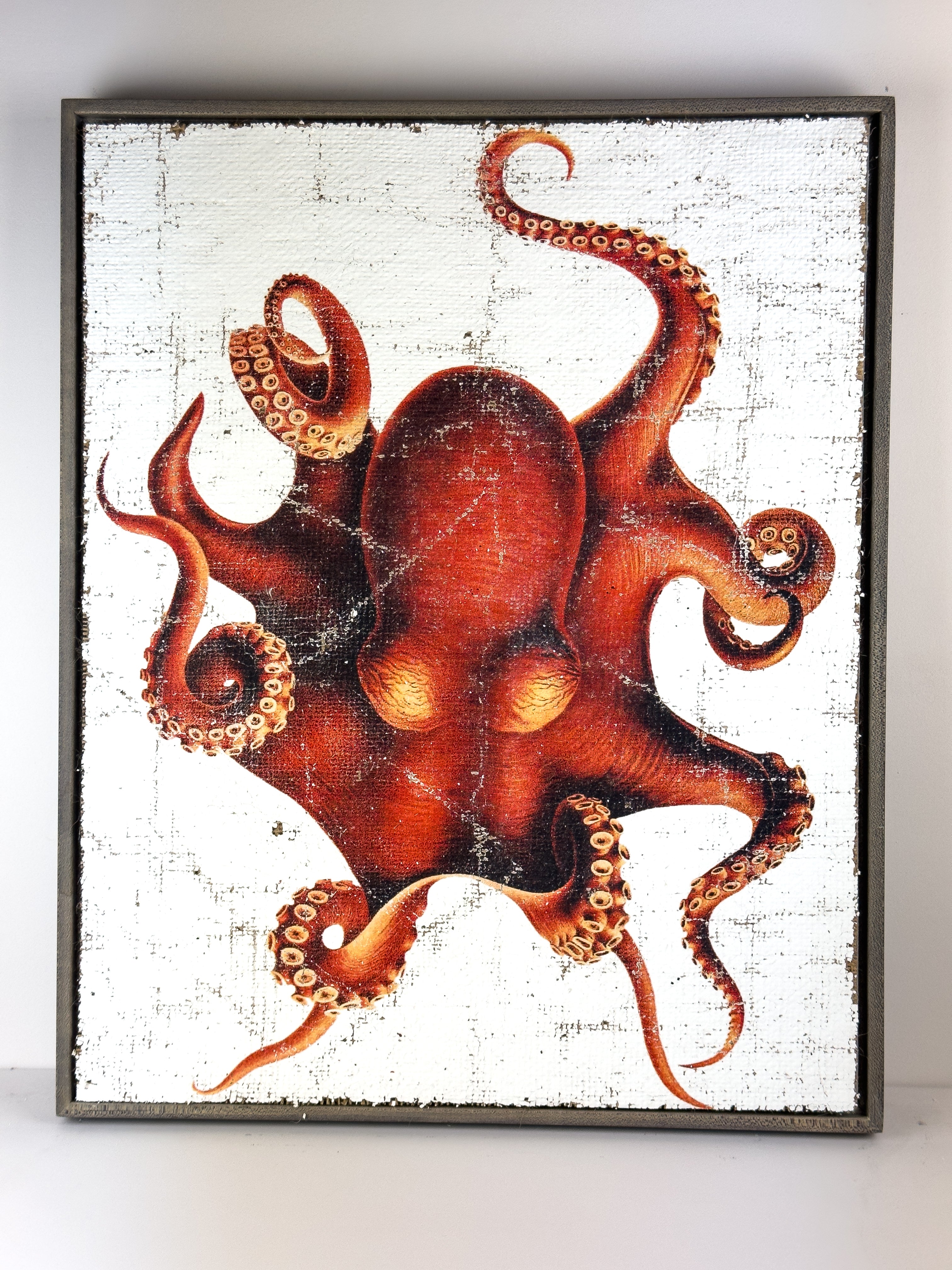 Red Octopus