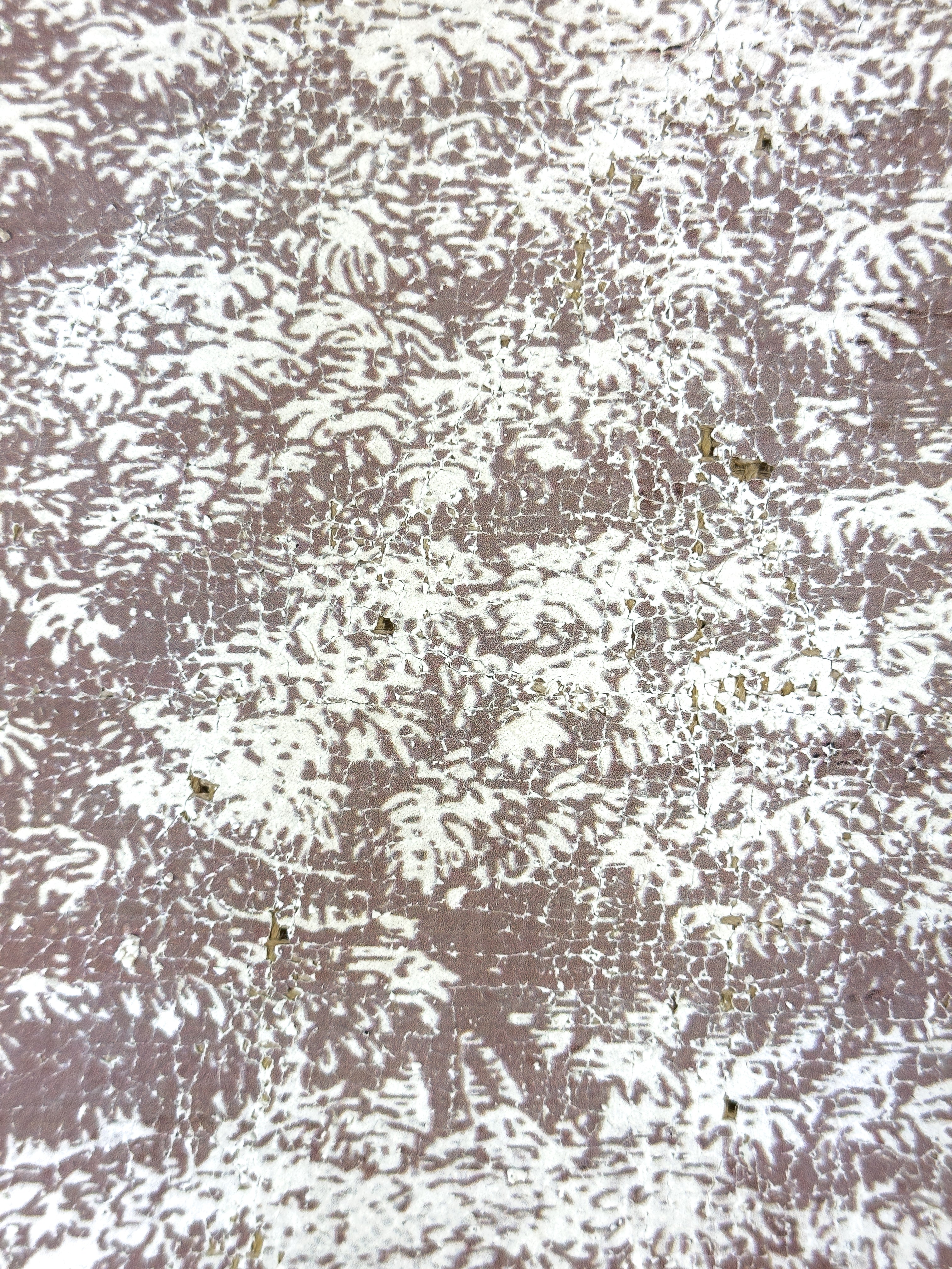 Vintage Ash Tree - Beneath the Ash