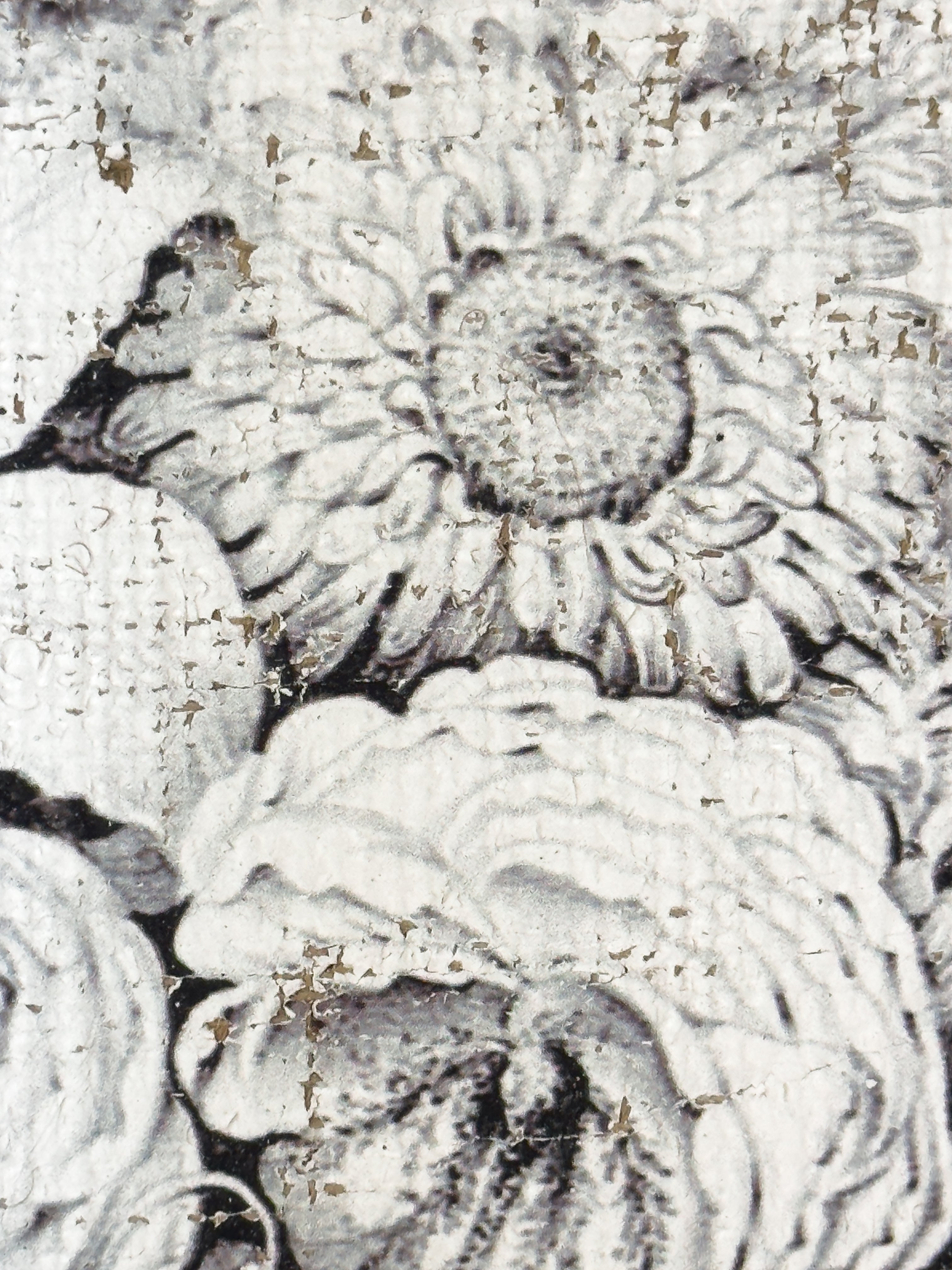 Black and Blanc Opulence