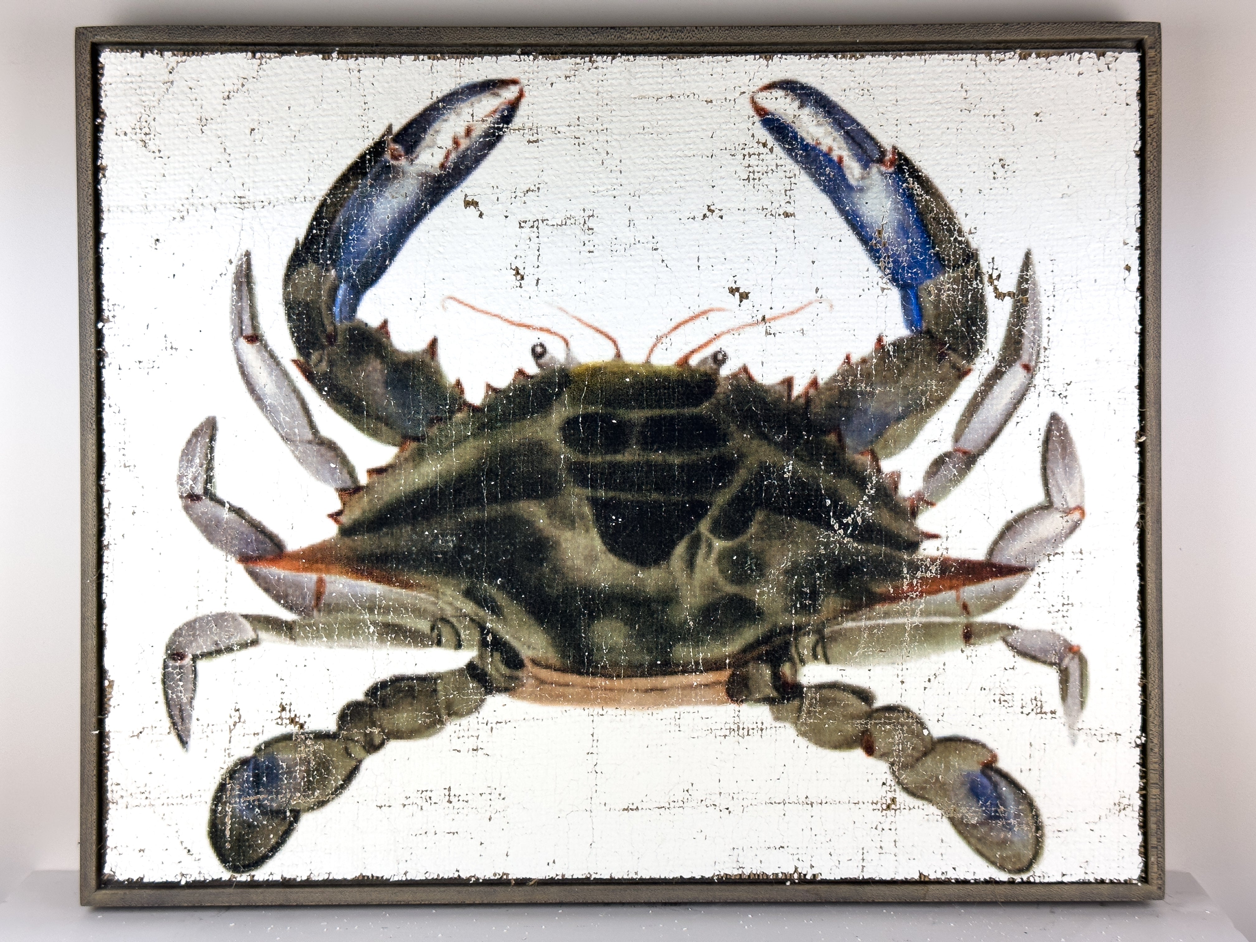 Blue Crab