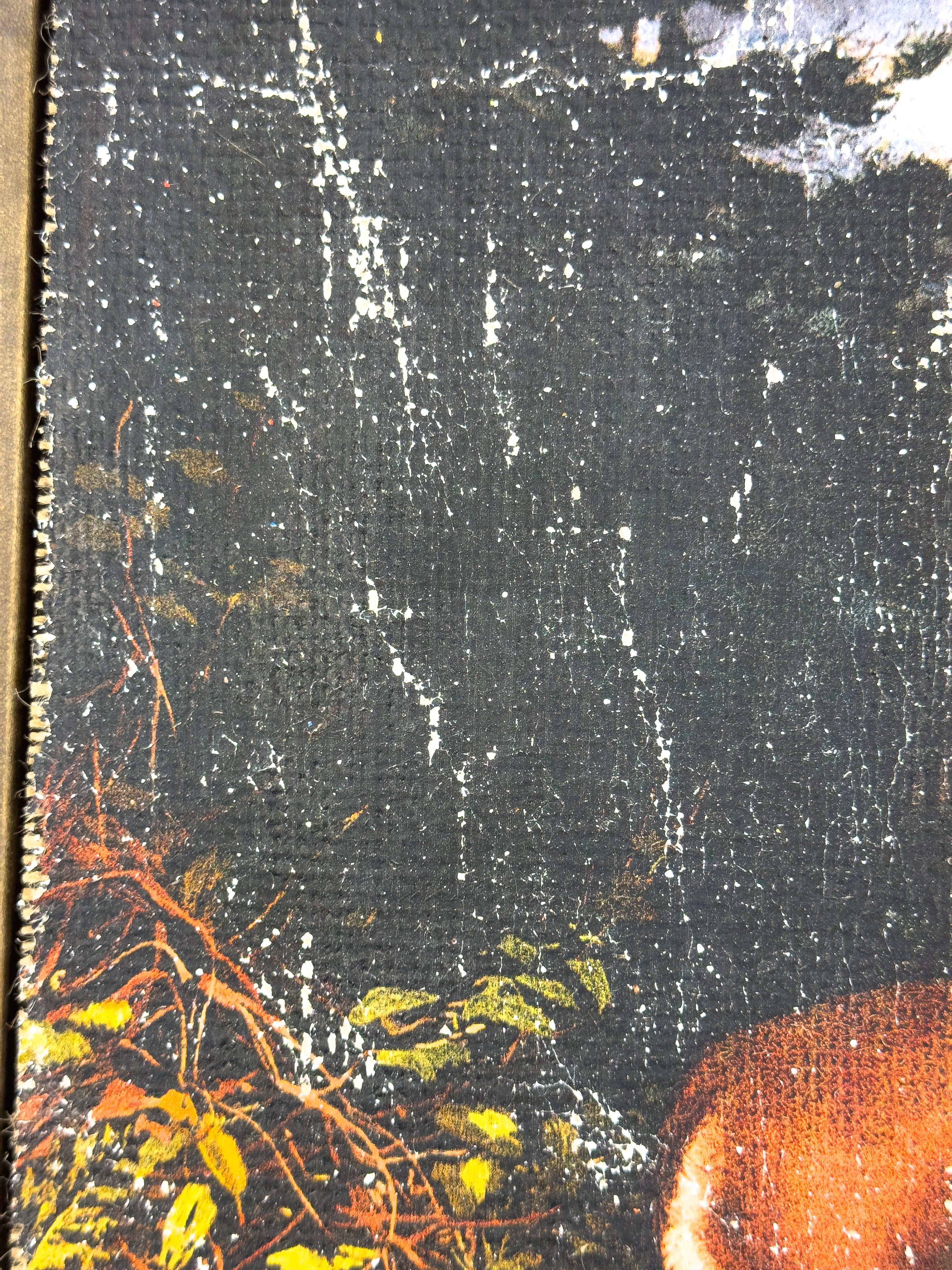 Mother and Fawn in Forest