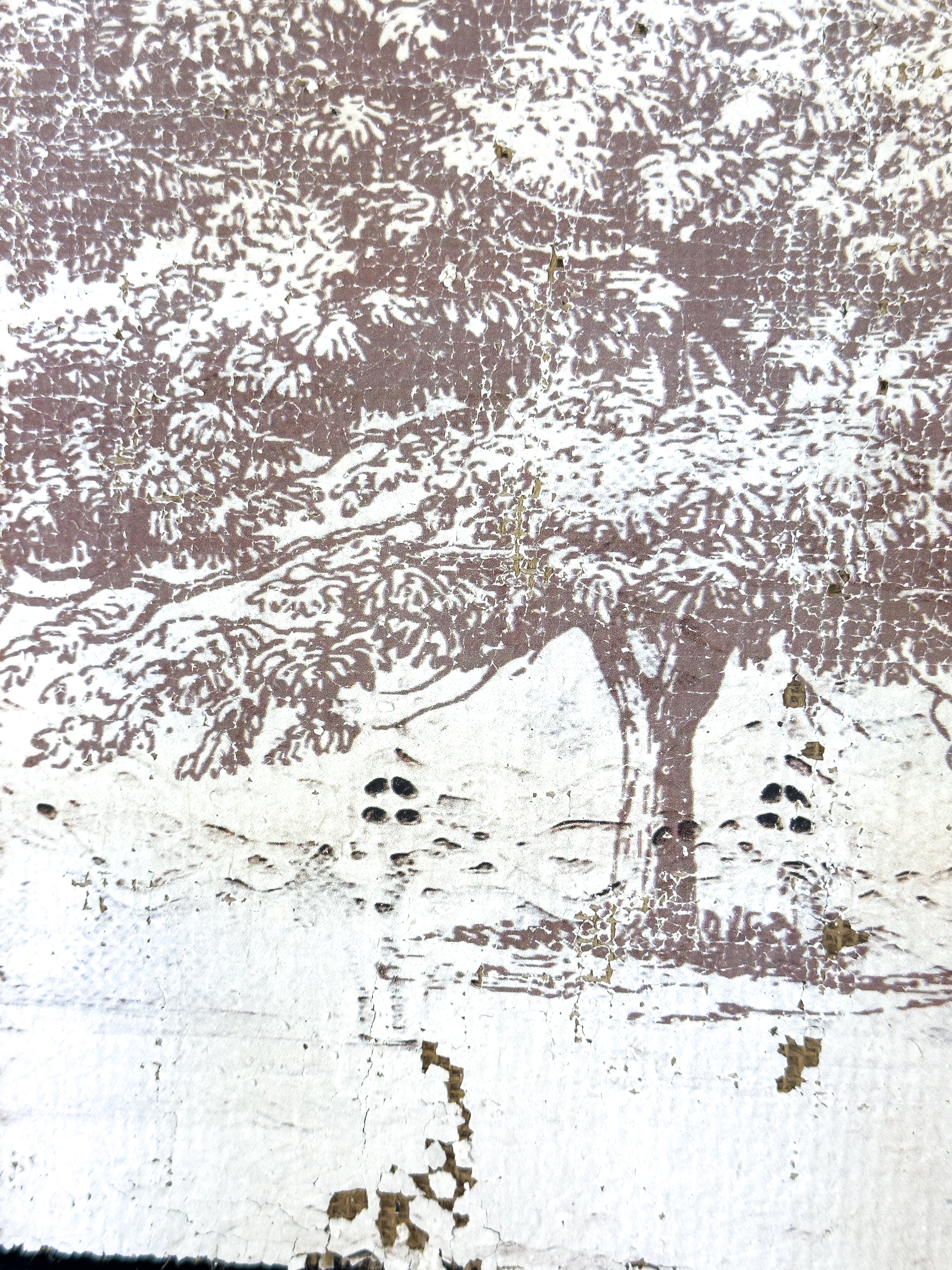 Vintage Ash Tree - Beneath the Ash