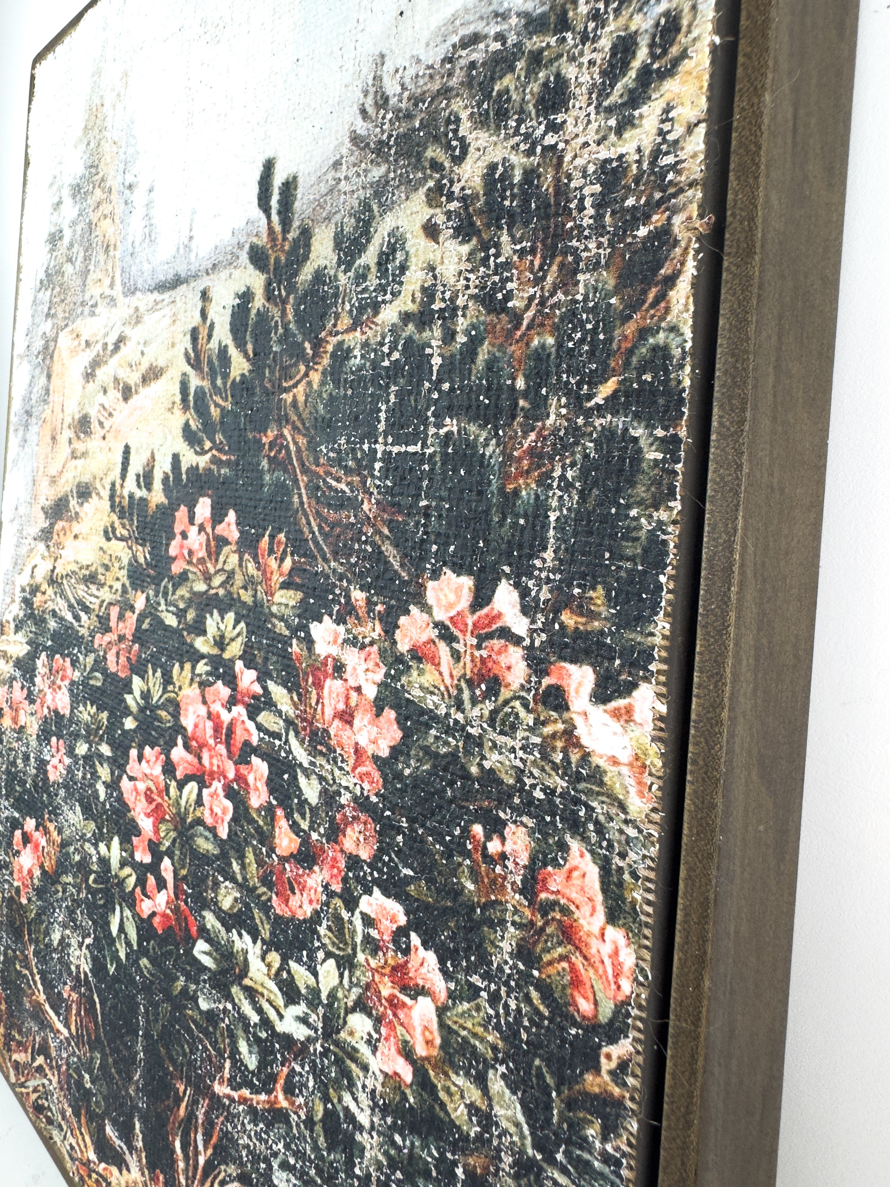 Pink Flowers on a Cliffside