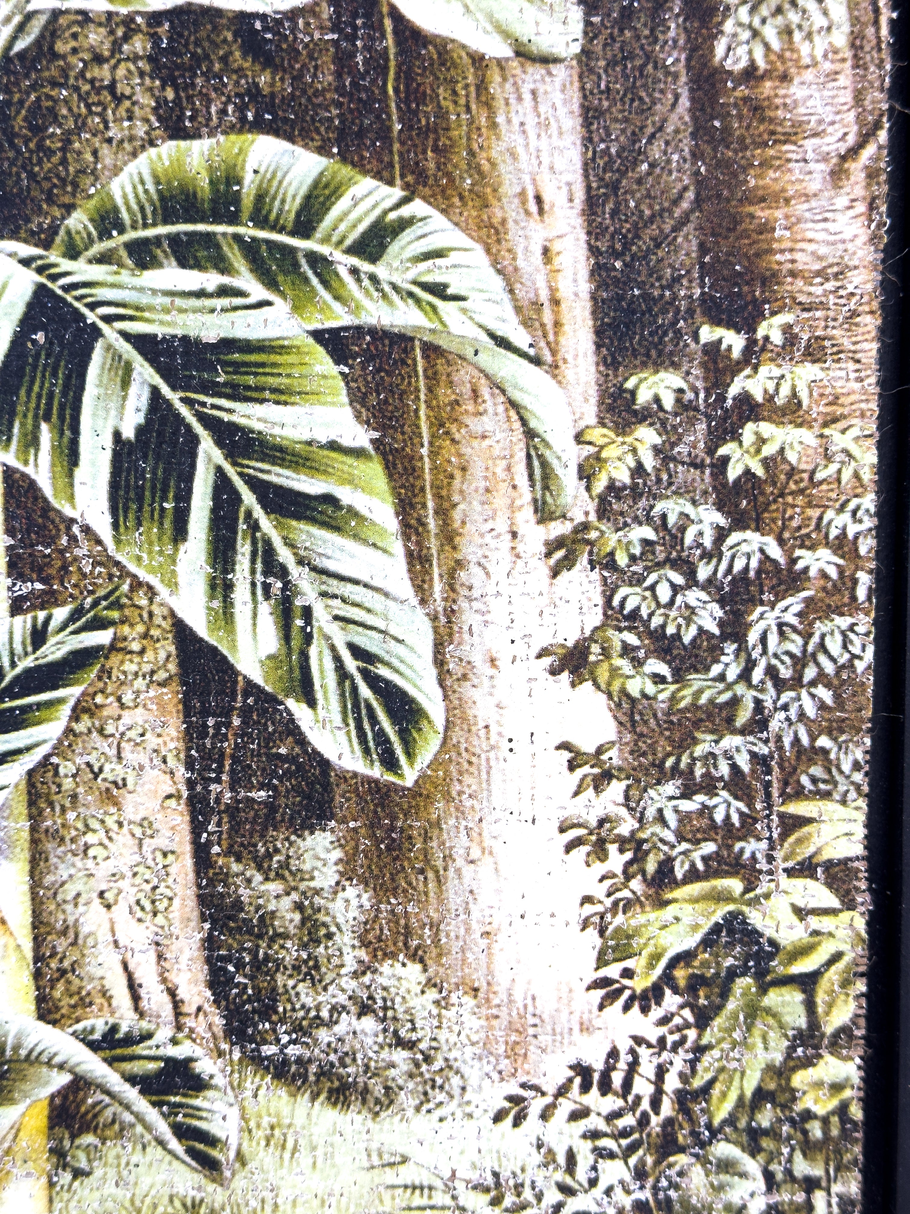 In the Shade of Green