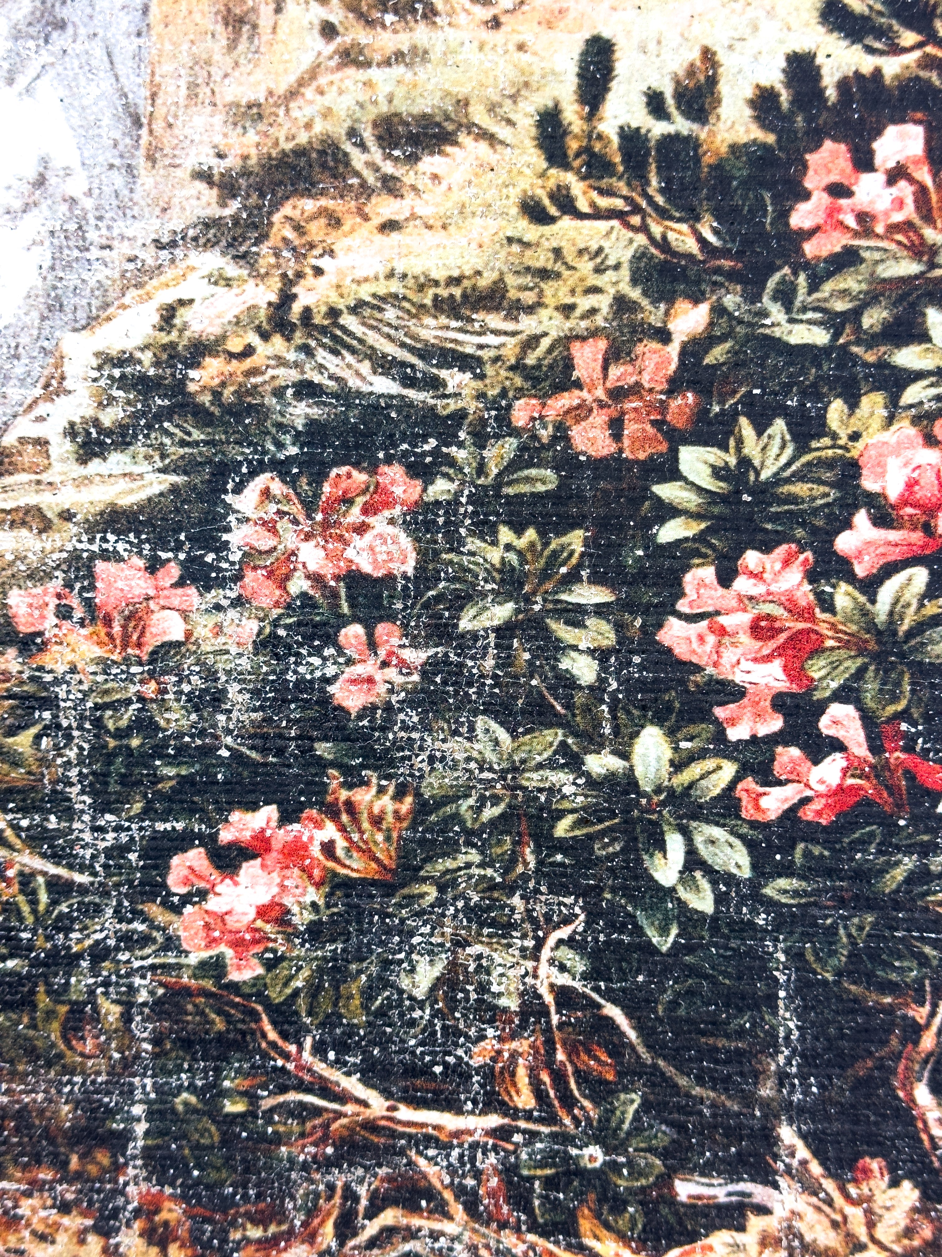 Pink Flowers on a Cliffside