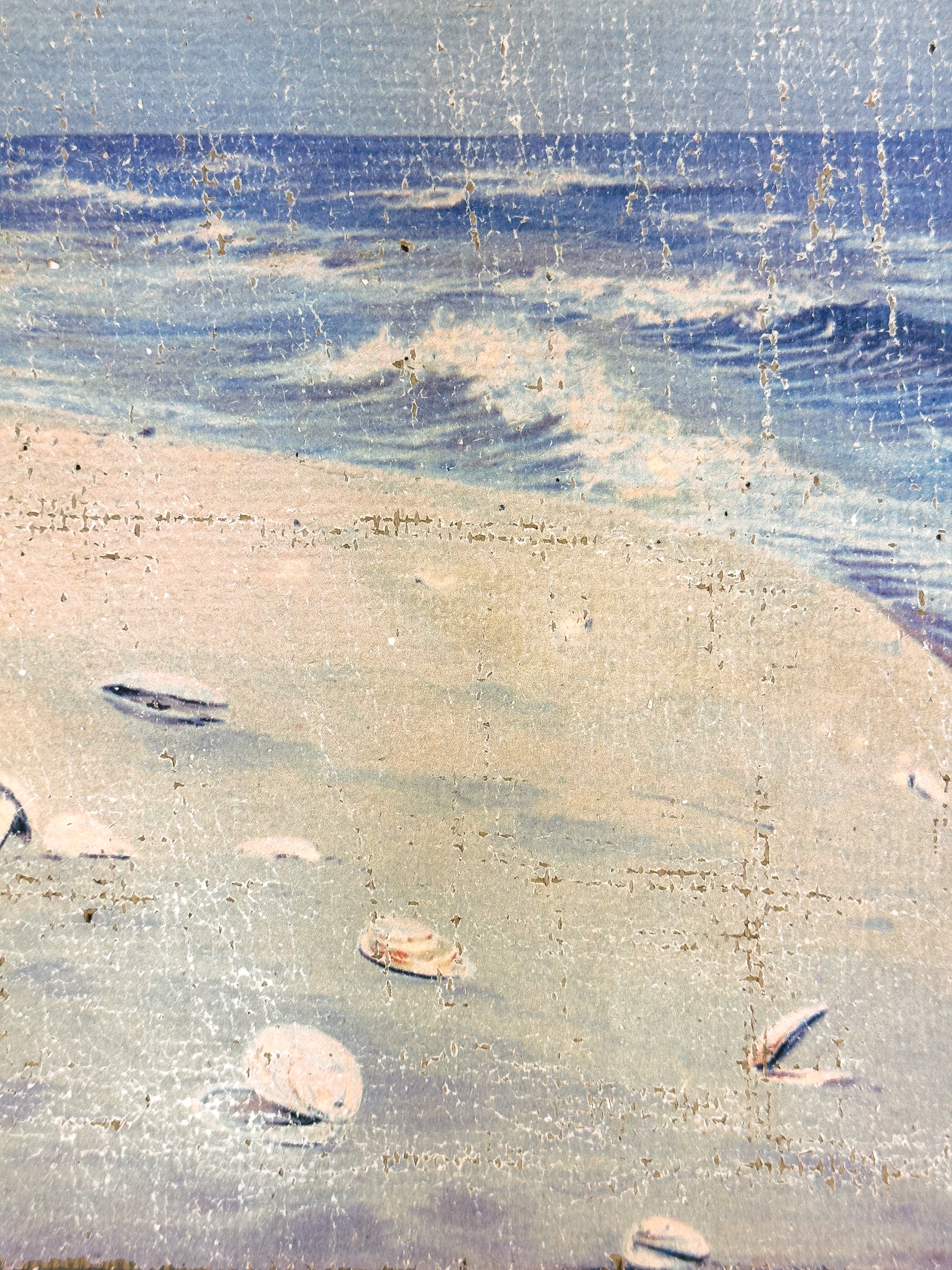 Coastal Beach Day - Where the Gulls Lead