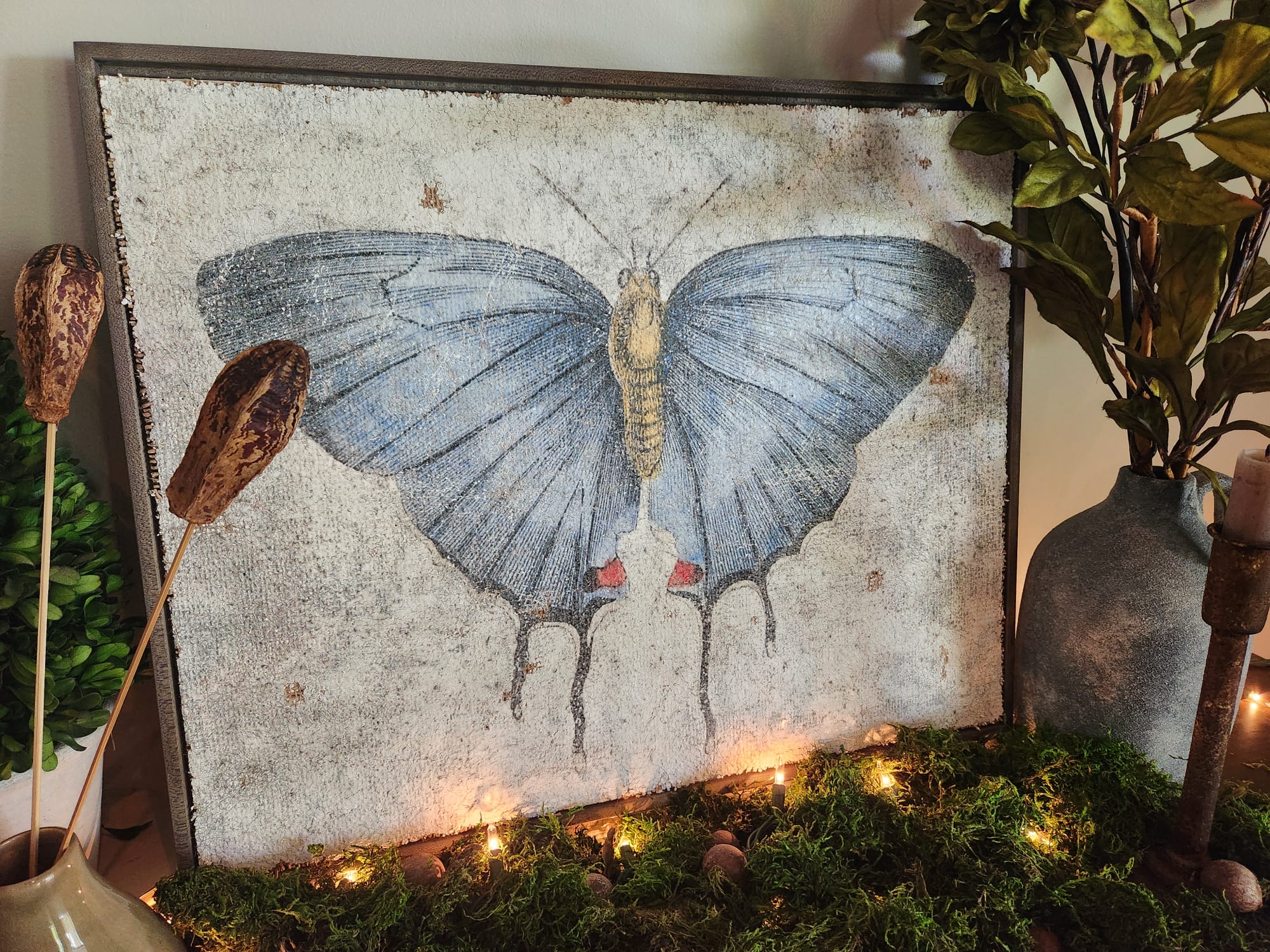 Redspot Gossamer-winged Butterfly