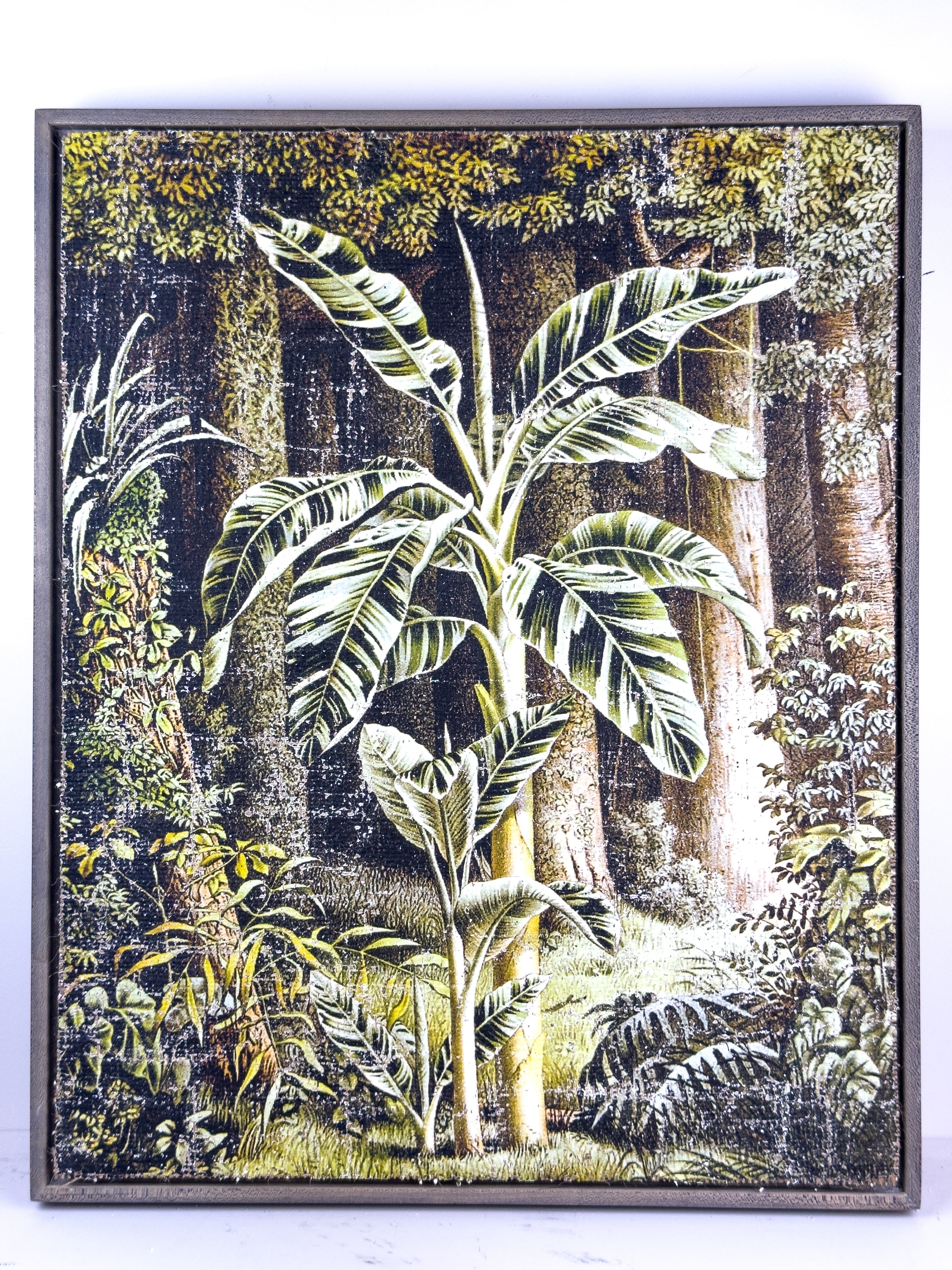 In the Shade of Green