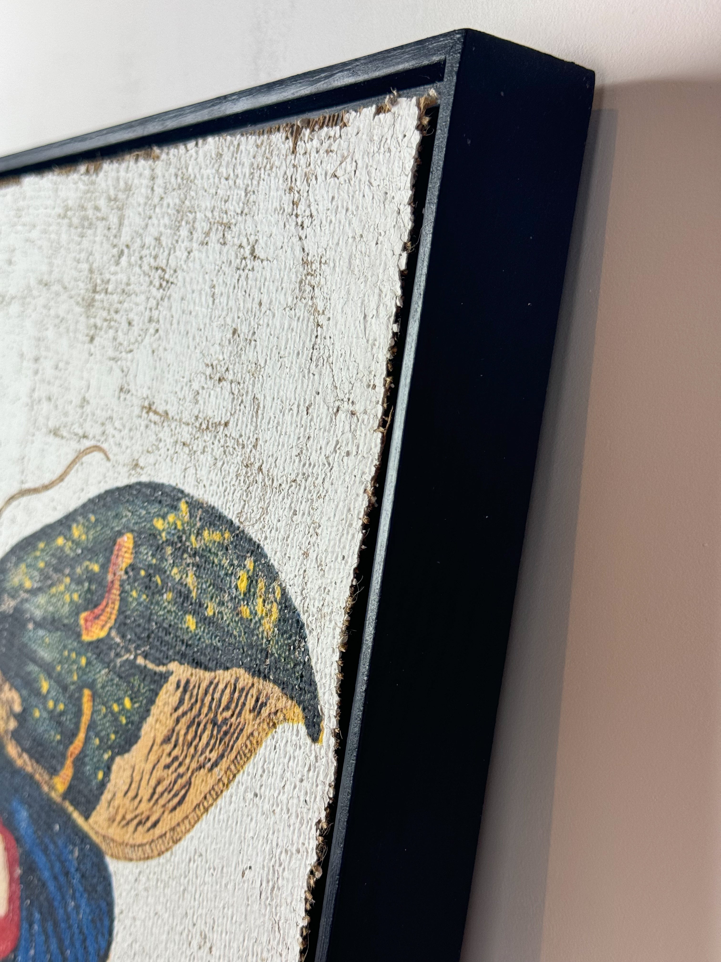 Owlet Moth - Hope Takes Flight