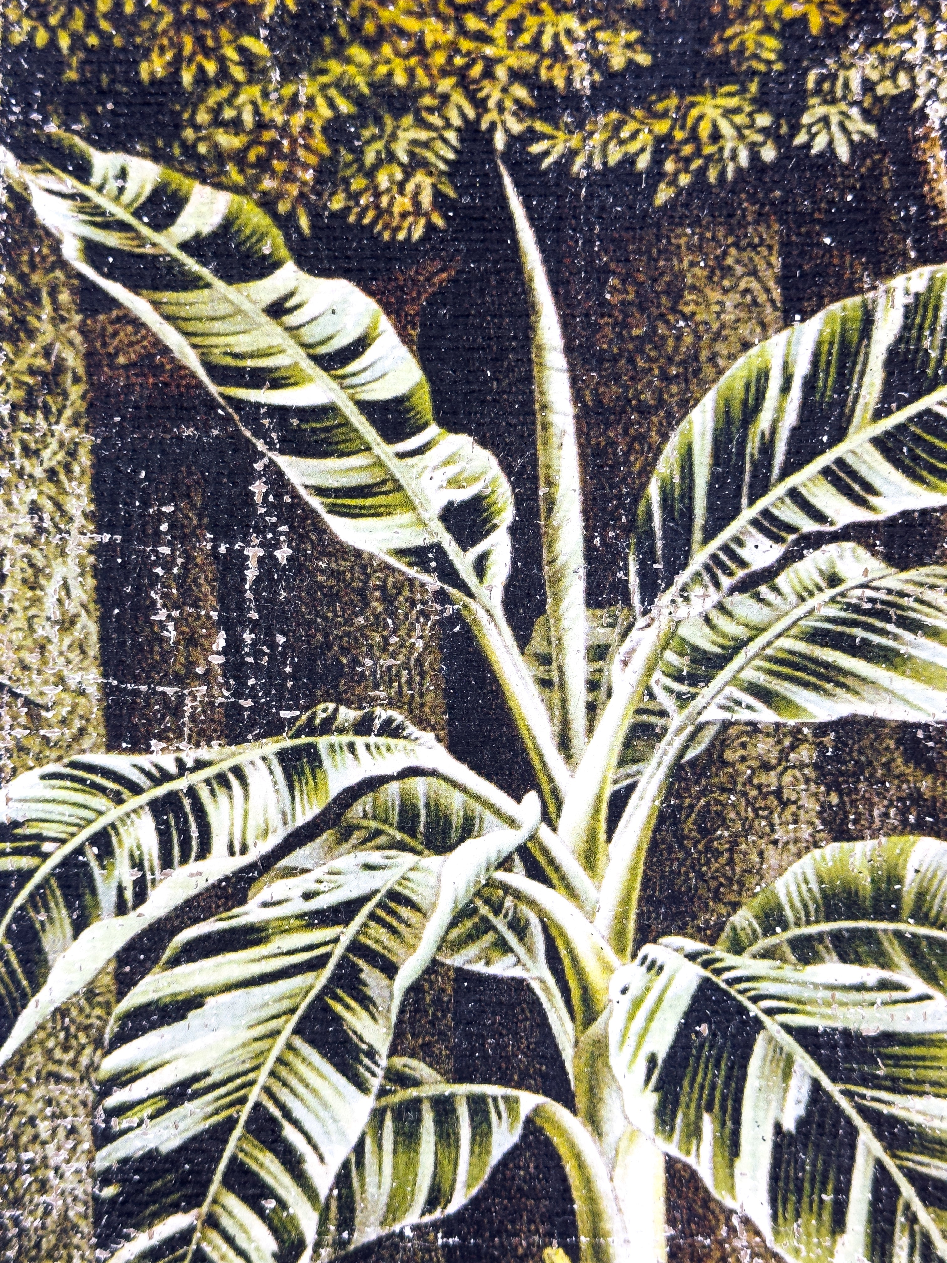 In the Shade of Green