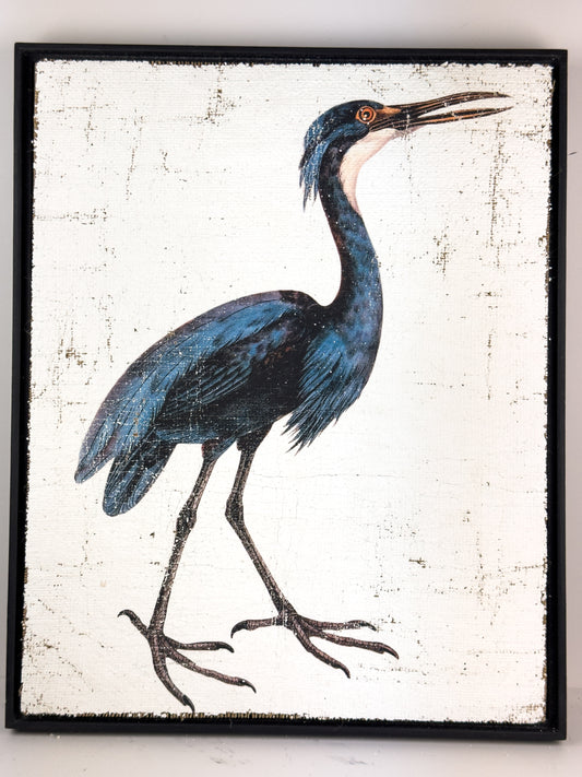 Blue Egret