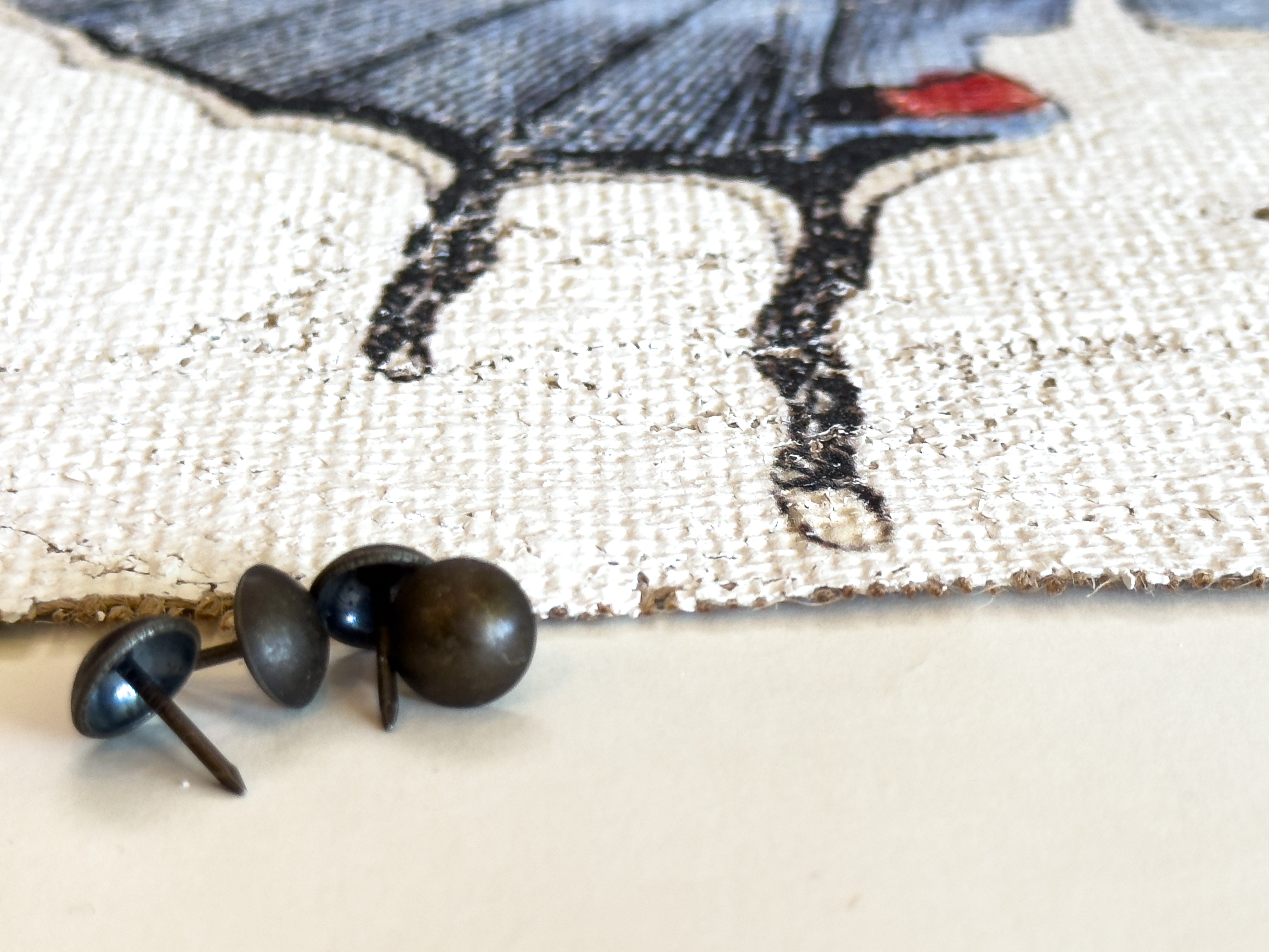 Redspot Gossamer-winged Butterfly