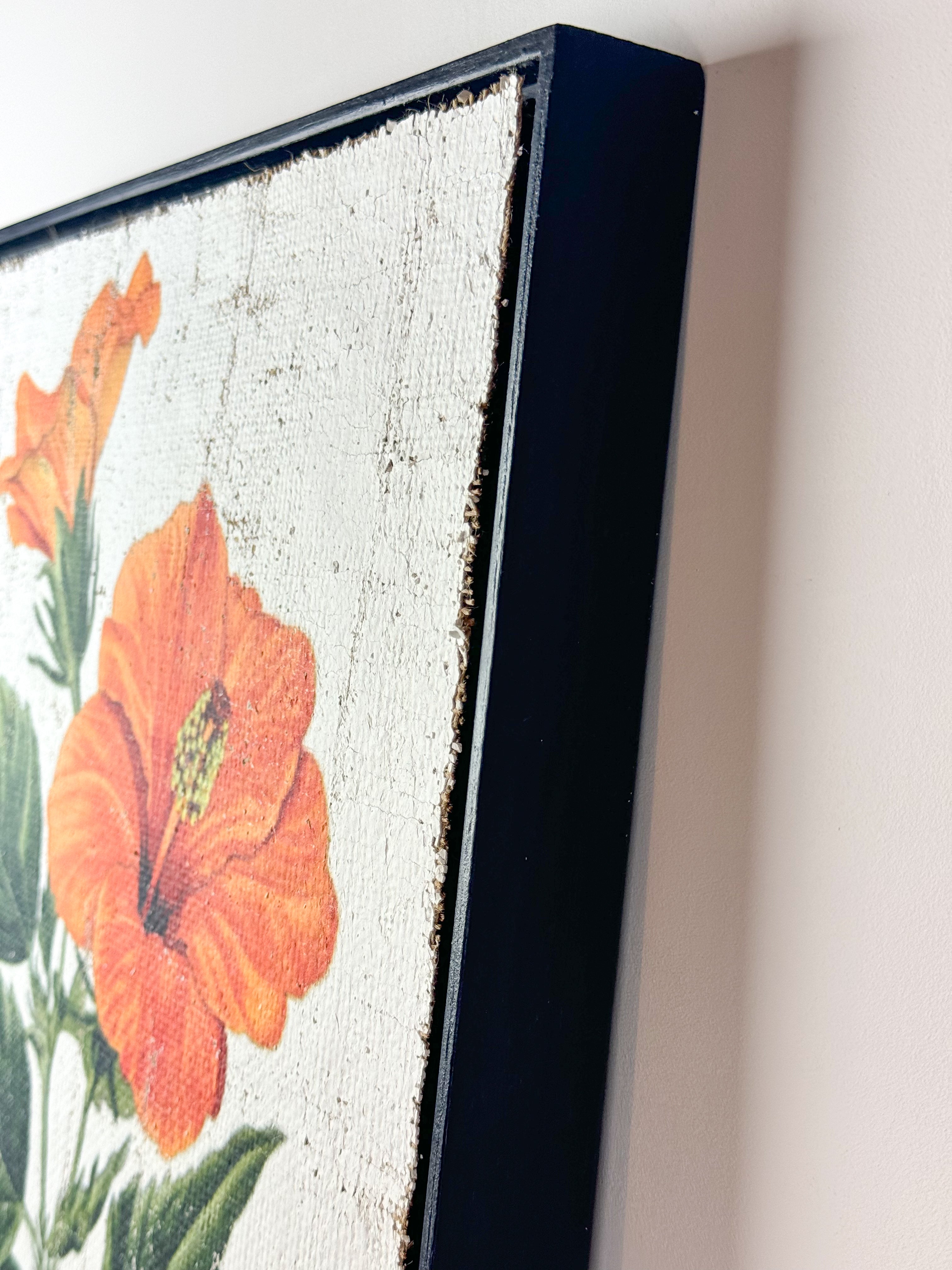 Orange Tropical Hibiscus