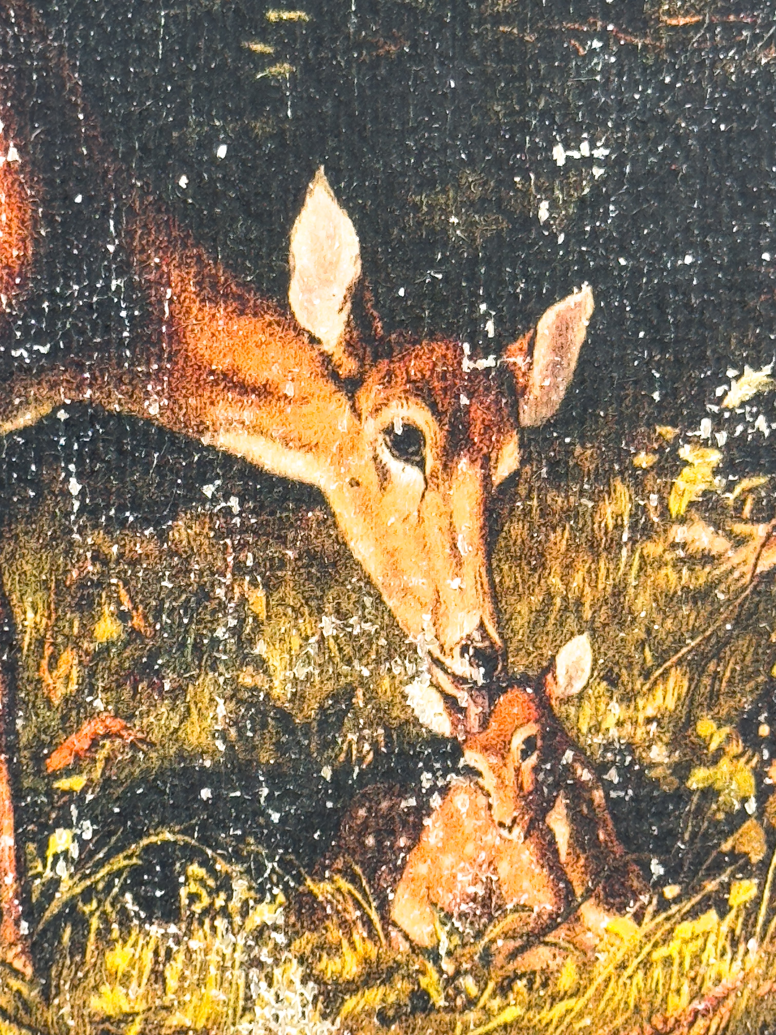 Mother and Fawn in Forest
