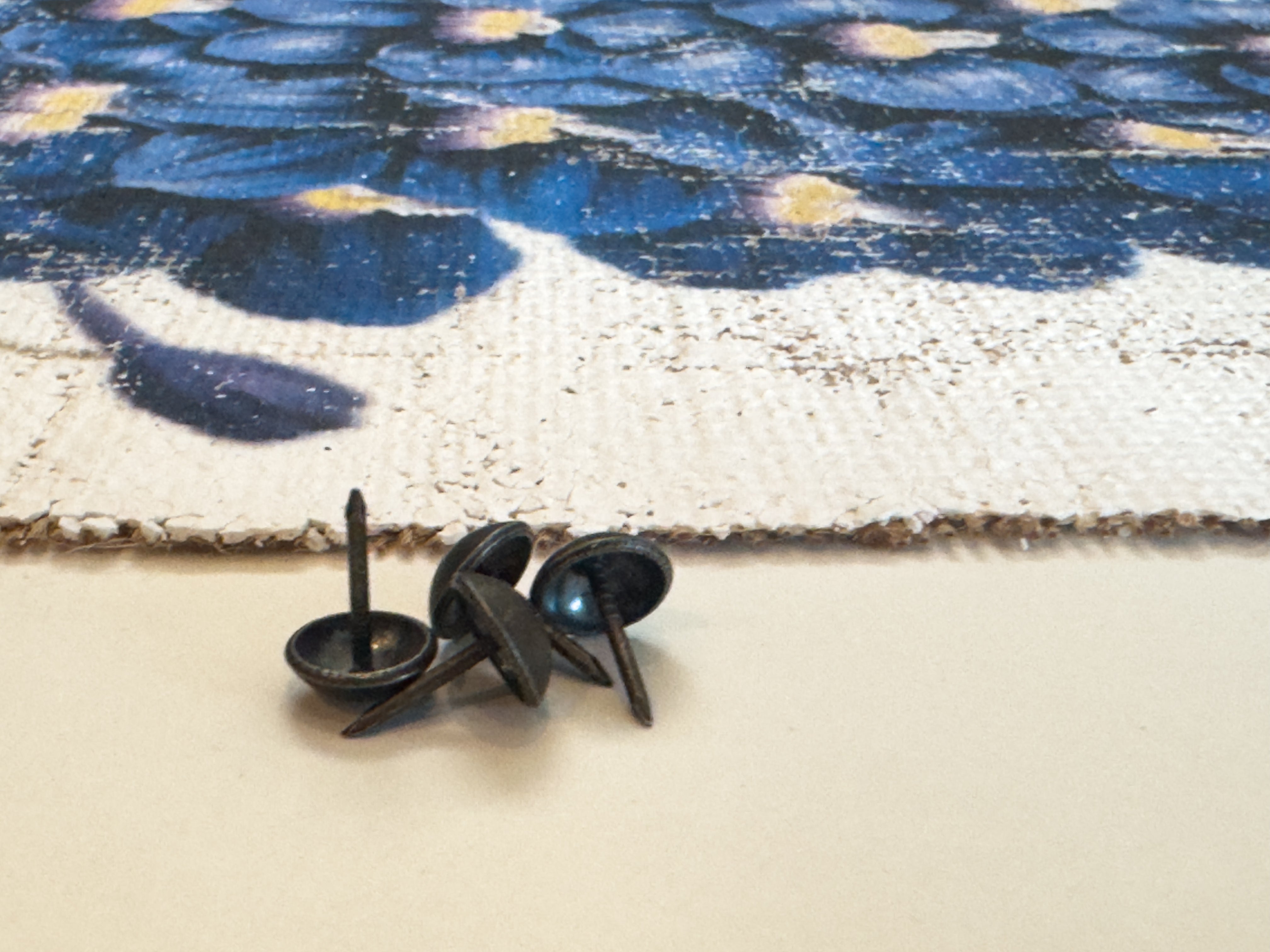 Blue Flowers of Radiance