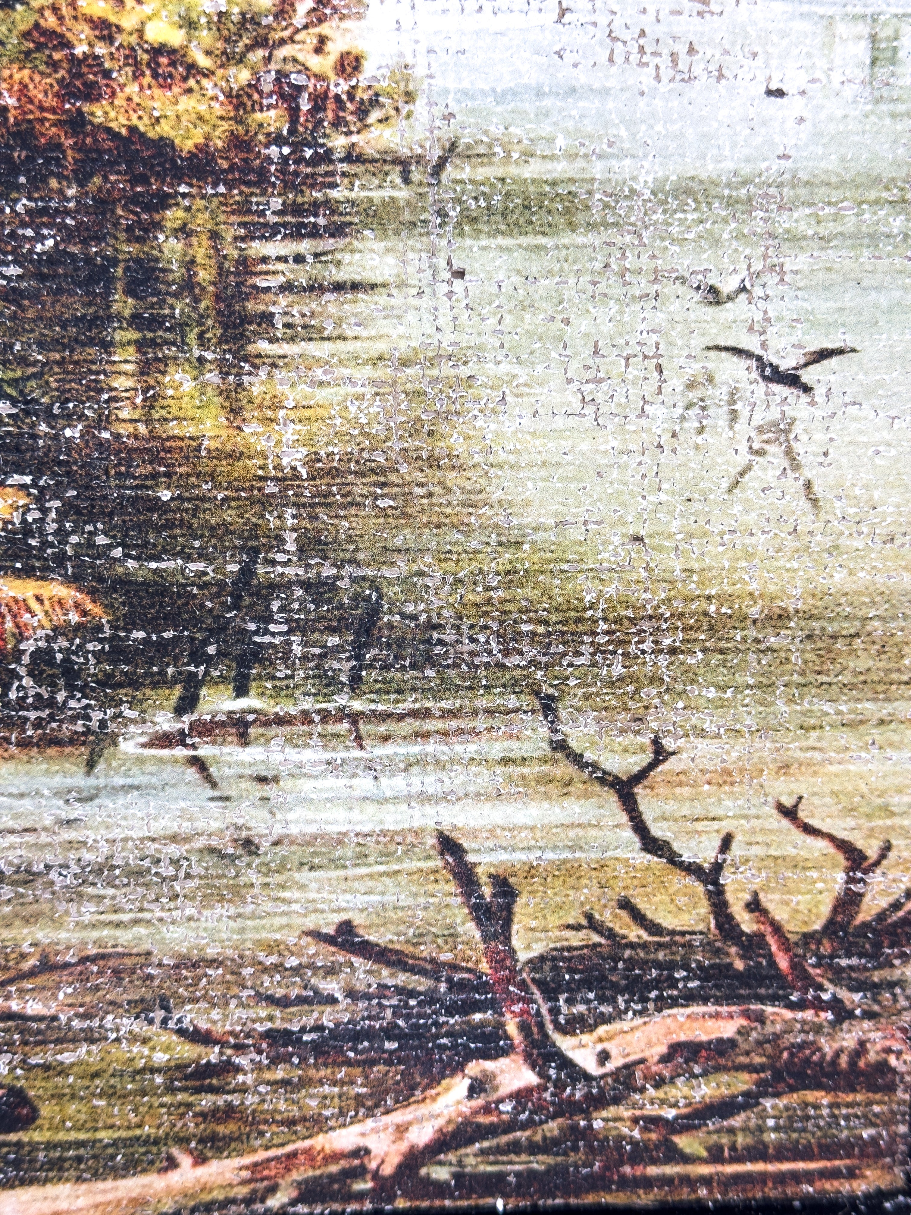 Vintage Fall Color - Changing Seasons