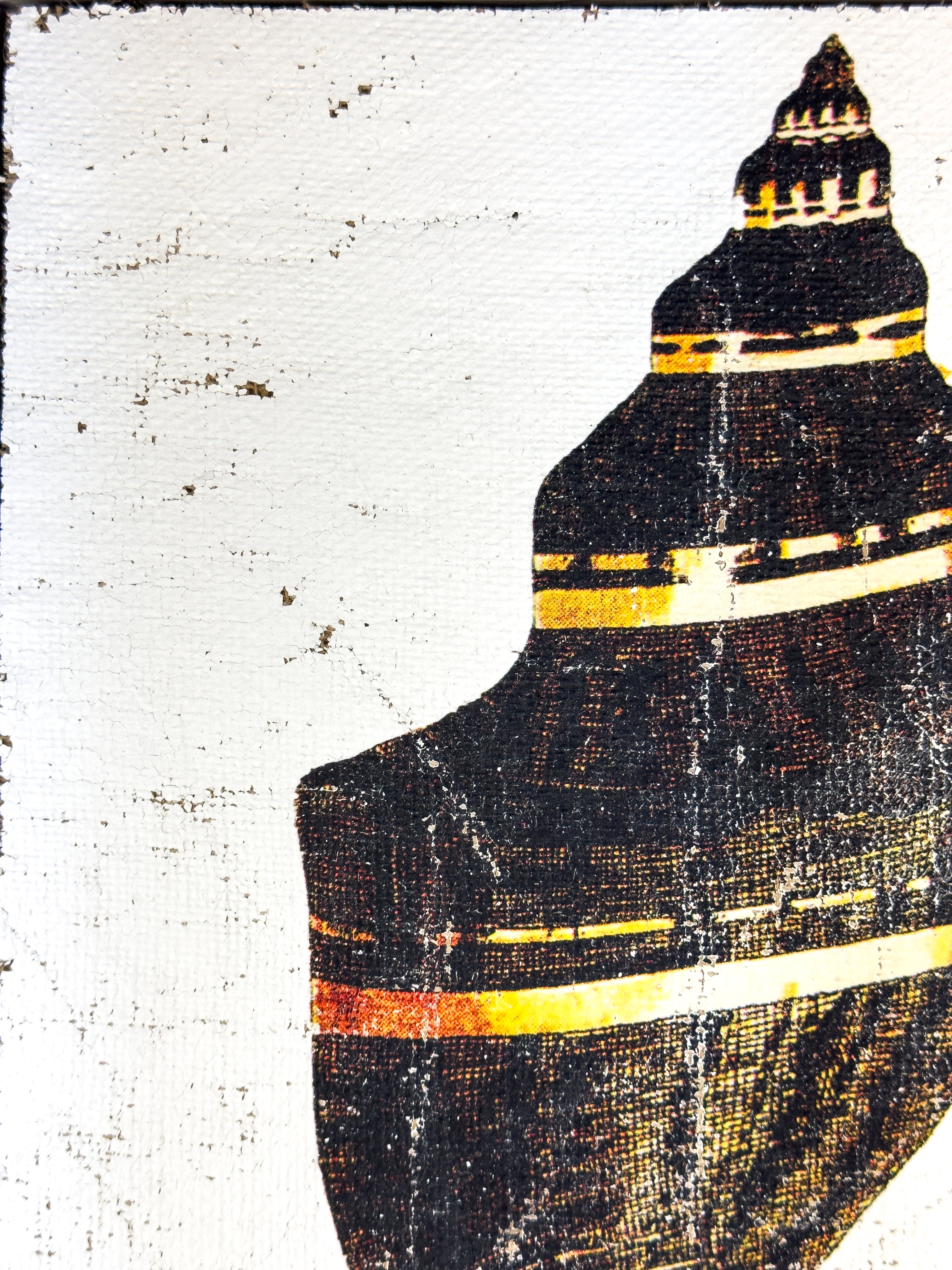 Black and Gold Cone Shell