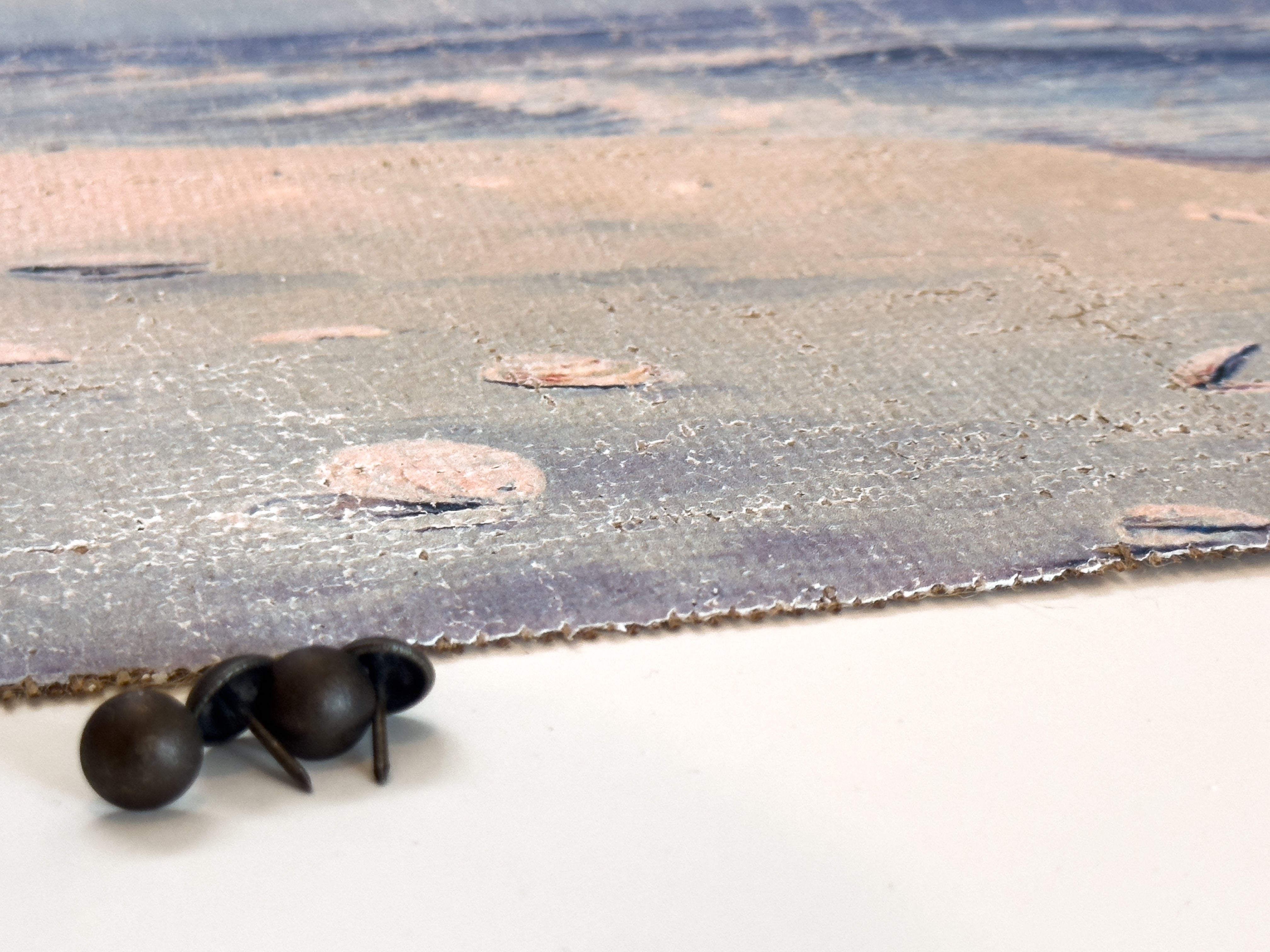 Coastal Beach Day - Where the Gulls Lead