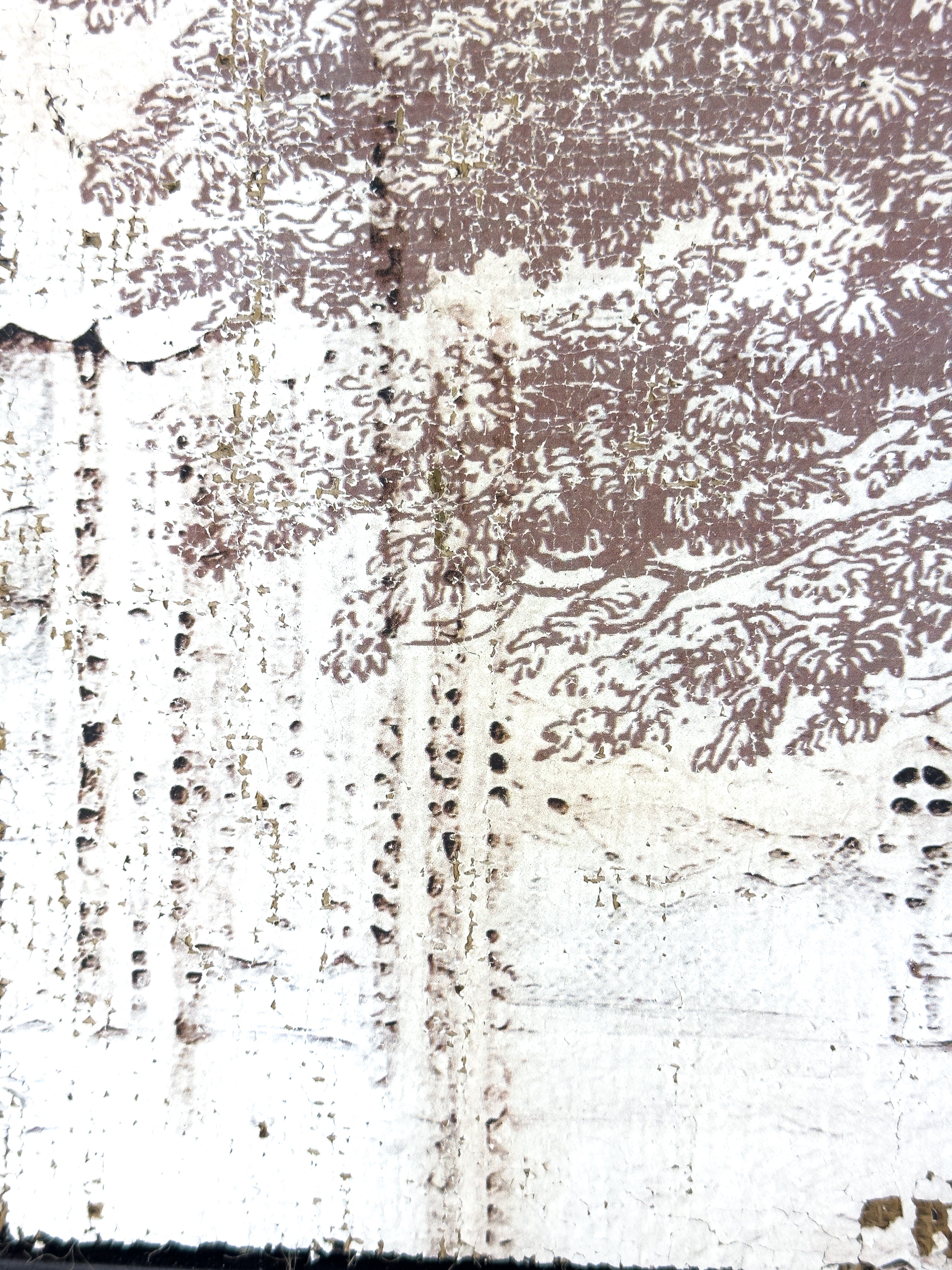 Vintage Ash Tree - Beneath the Ash