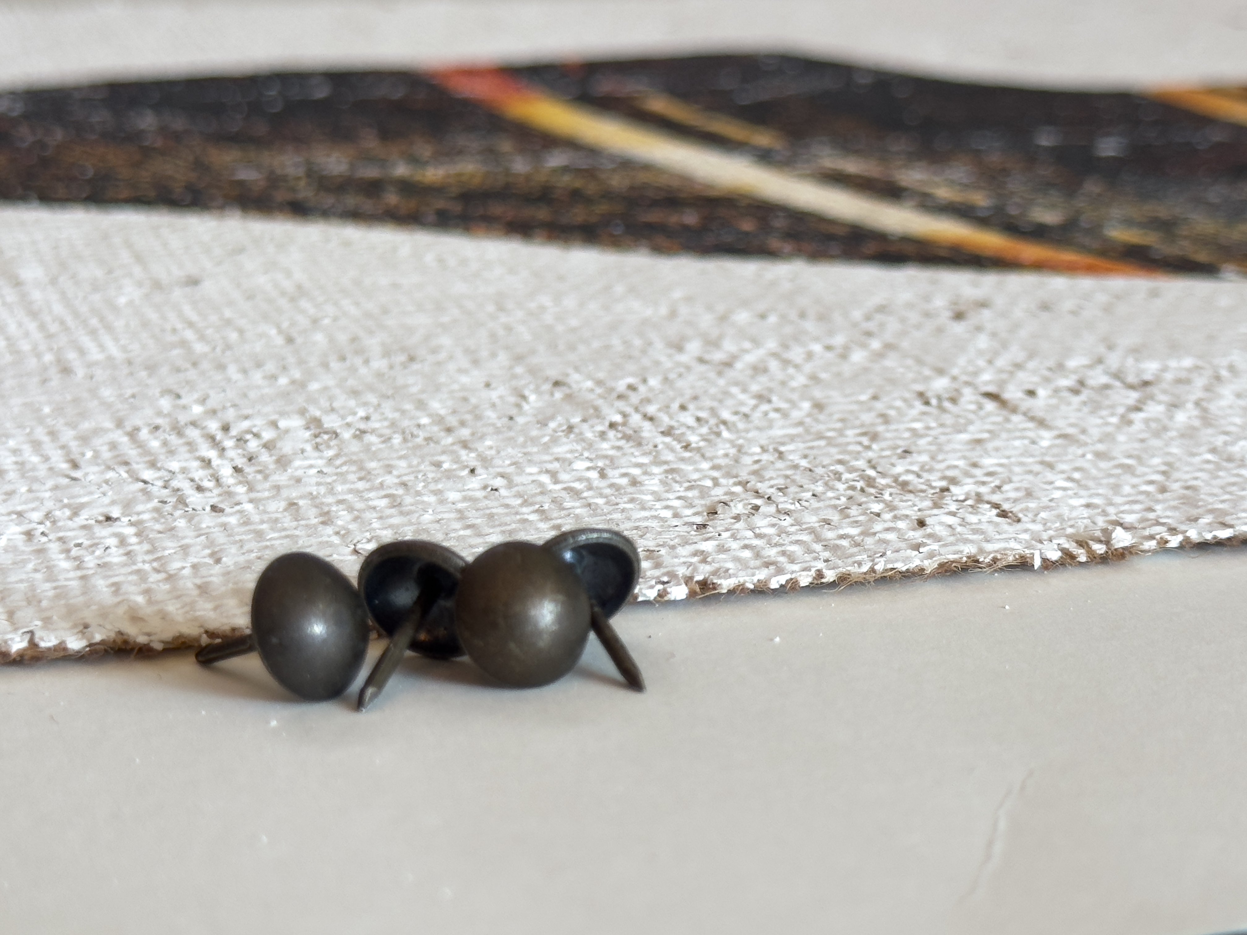 Black and Gold Cone Shell