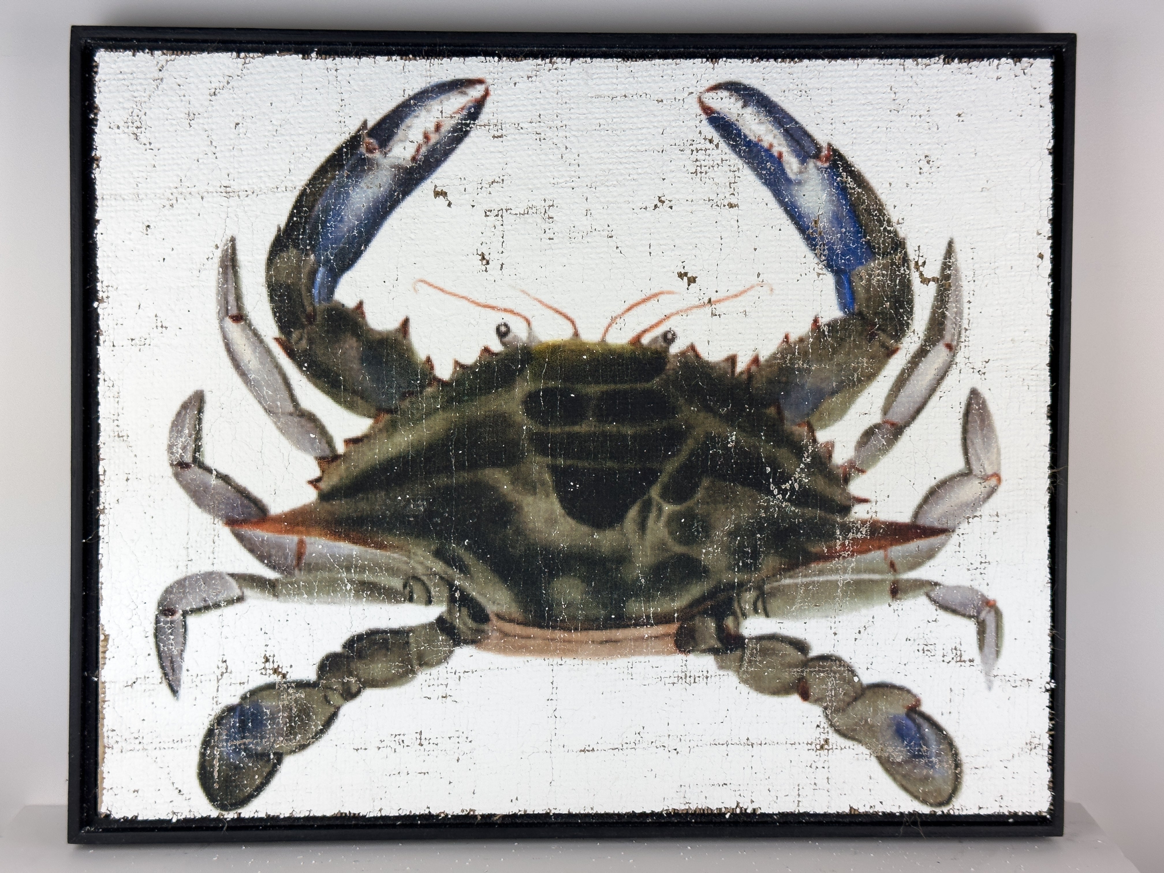 Blue Crab