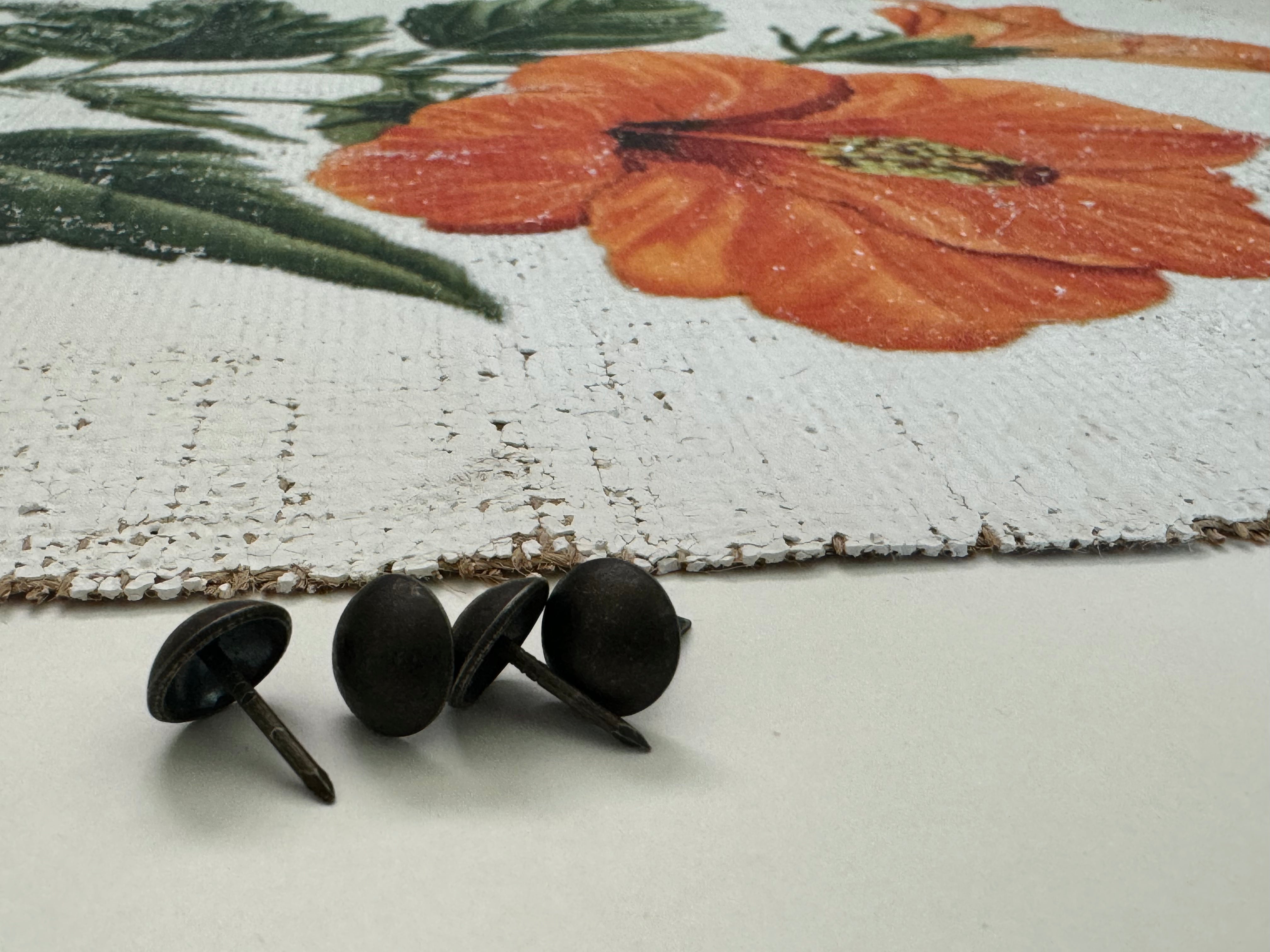 Orange Tropical Hibiscus