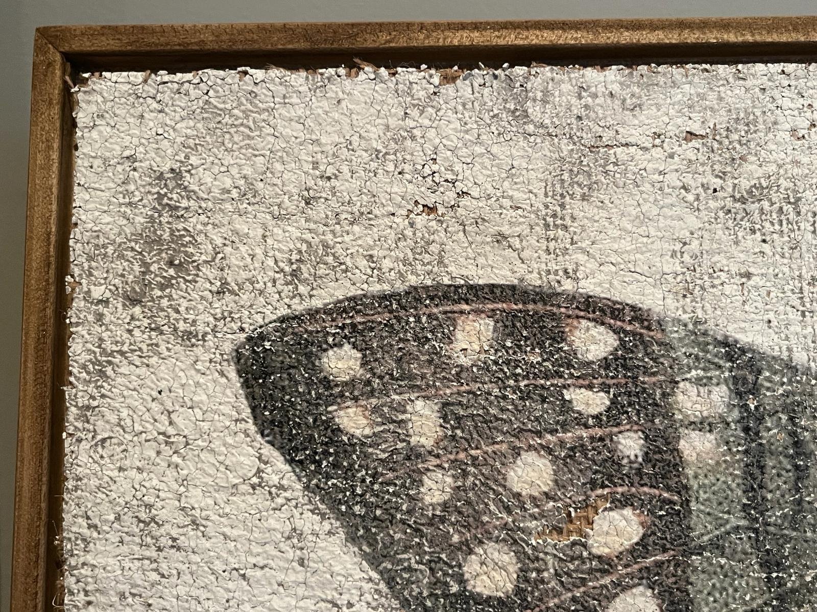 Green Swordtail Butterfly