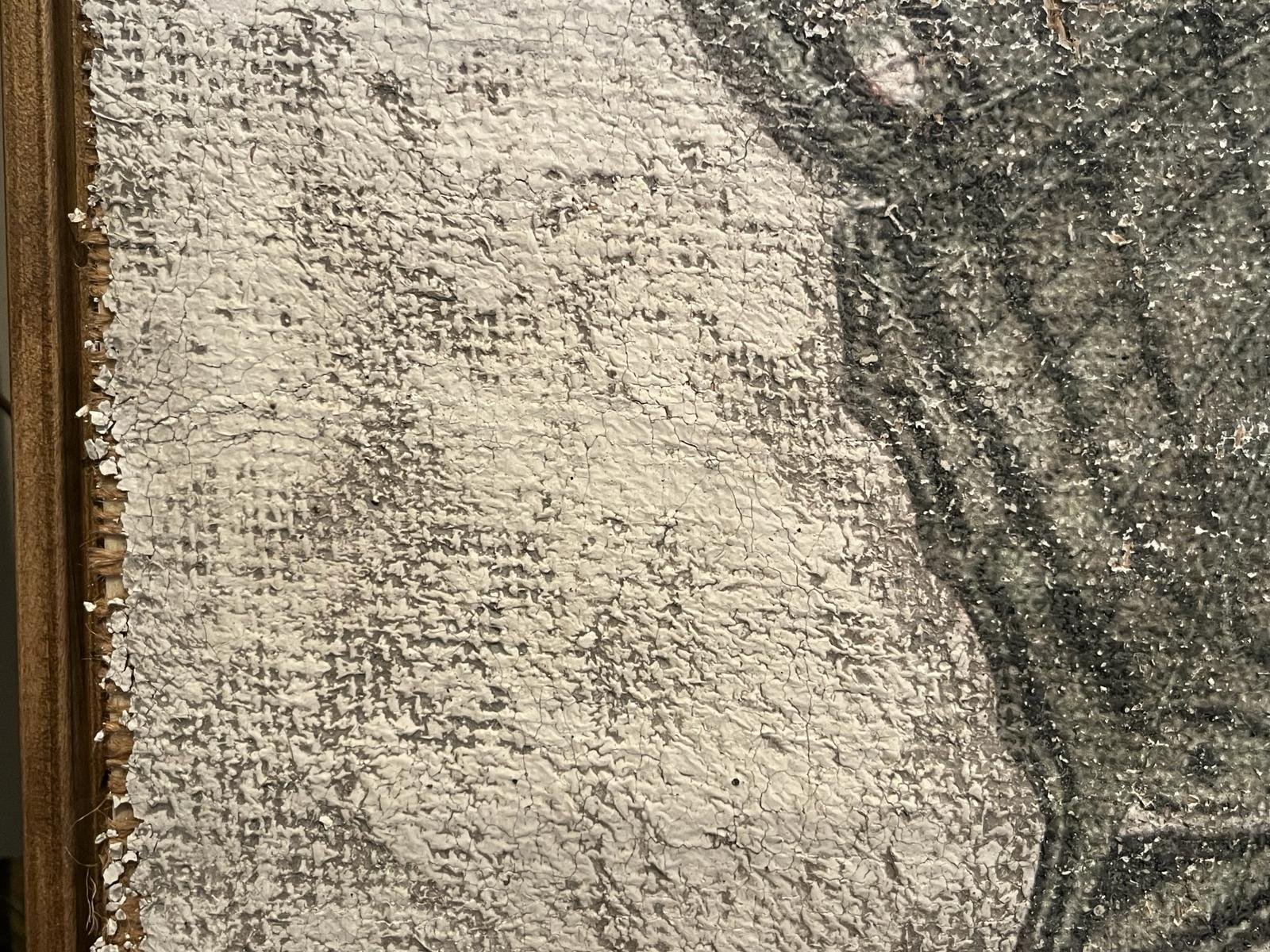 Green Swordtail Butterfly