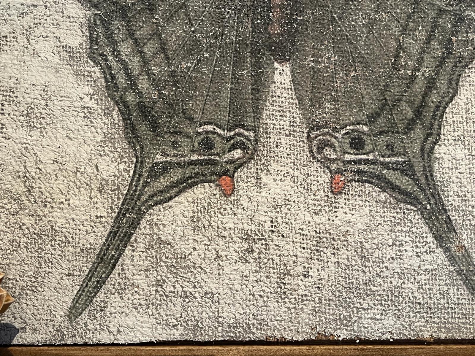 Green Swordtail Butterfly