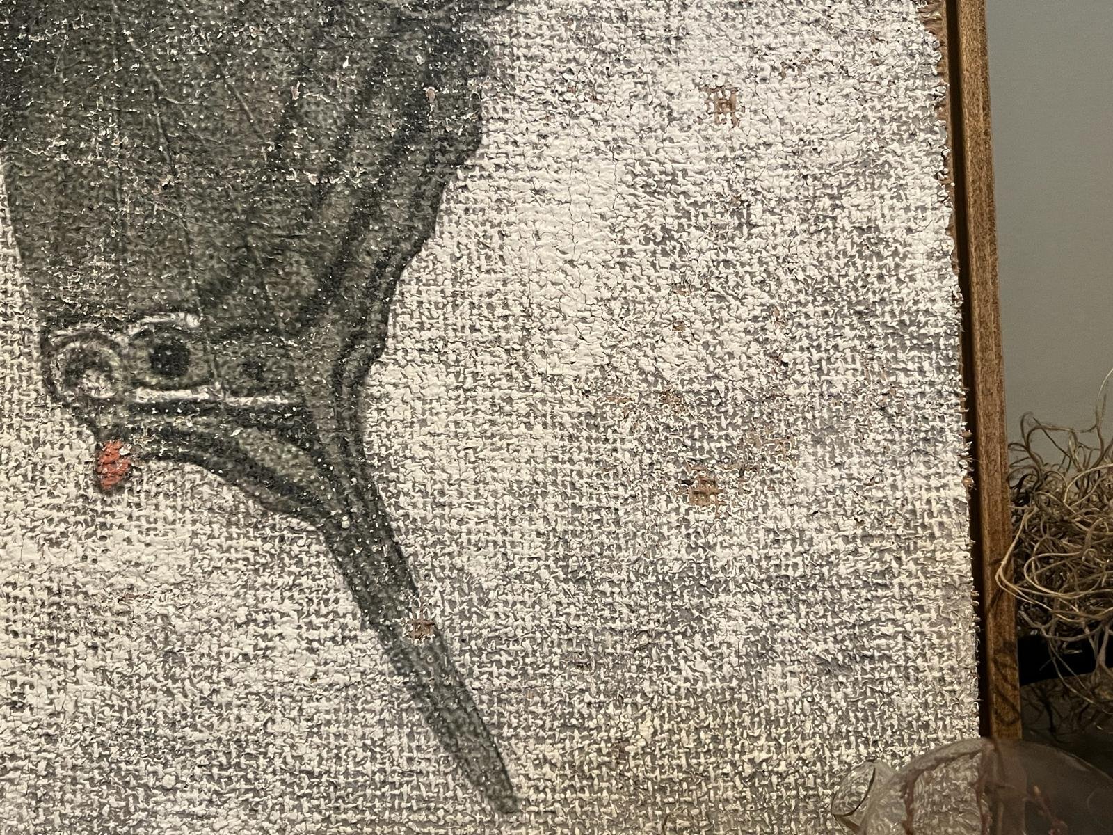 Green Swordtail Butterfly