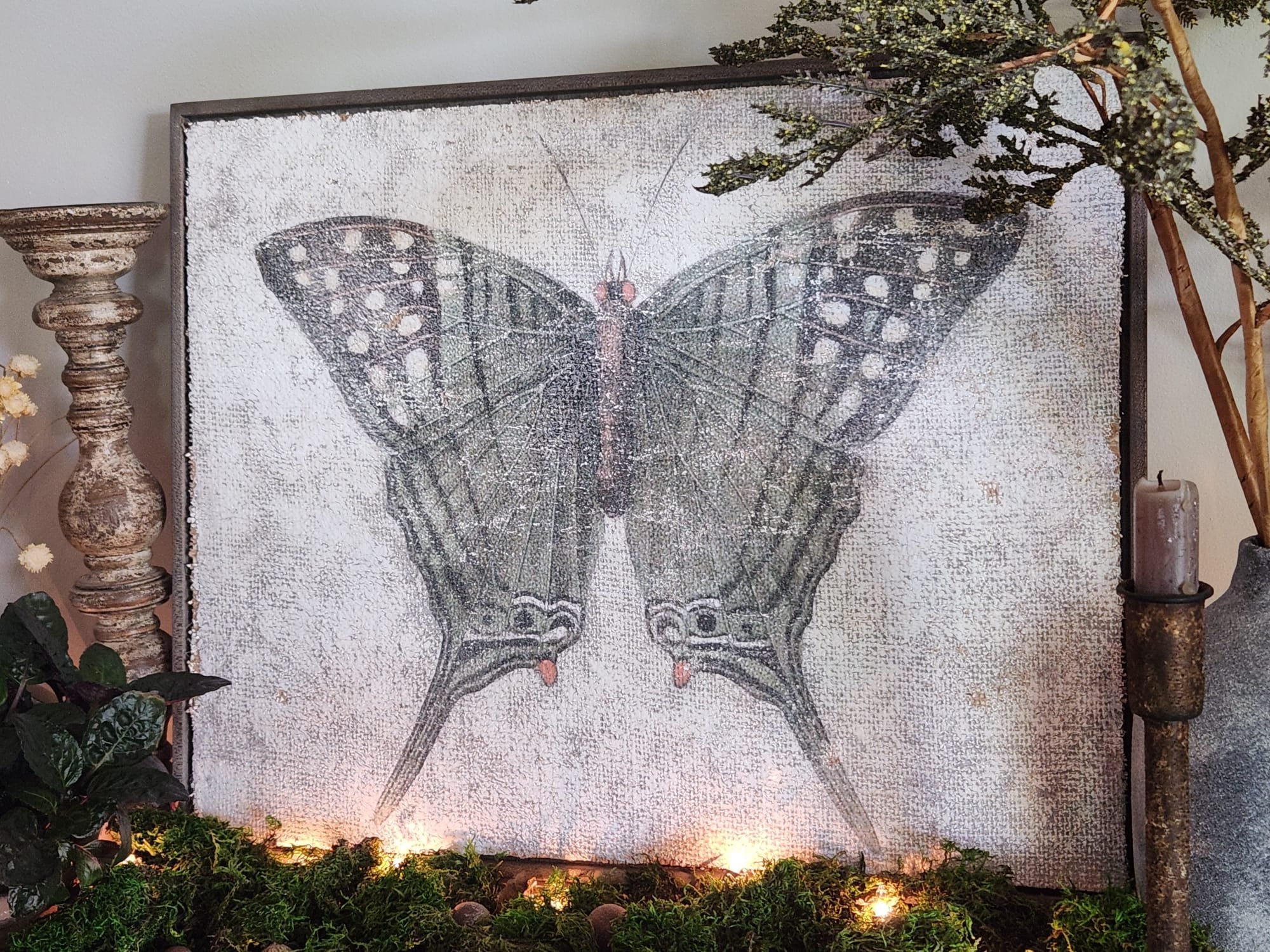 Green Swordtail Butterfly