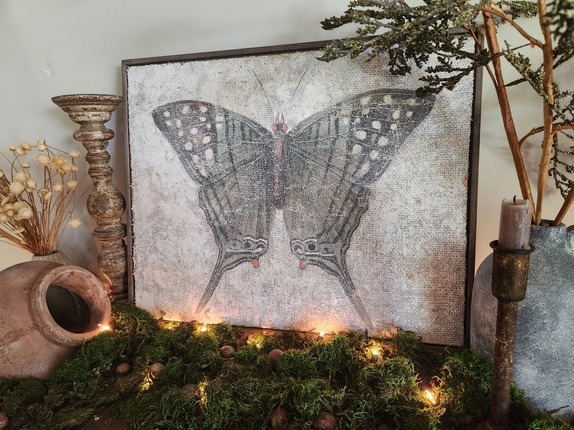 Green Swordtail Butterfly