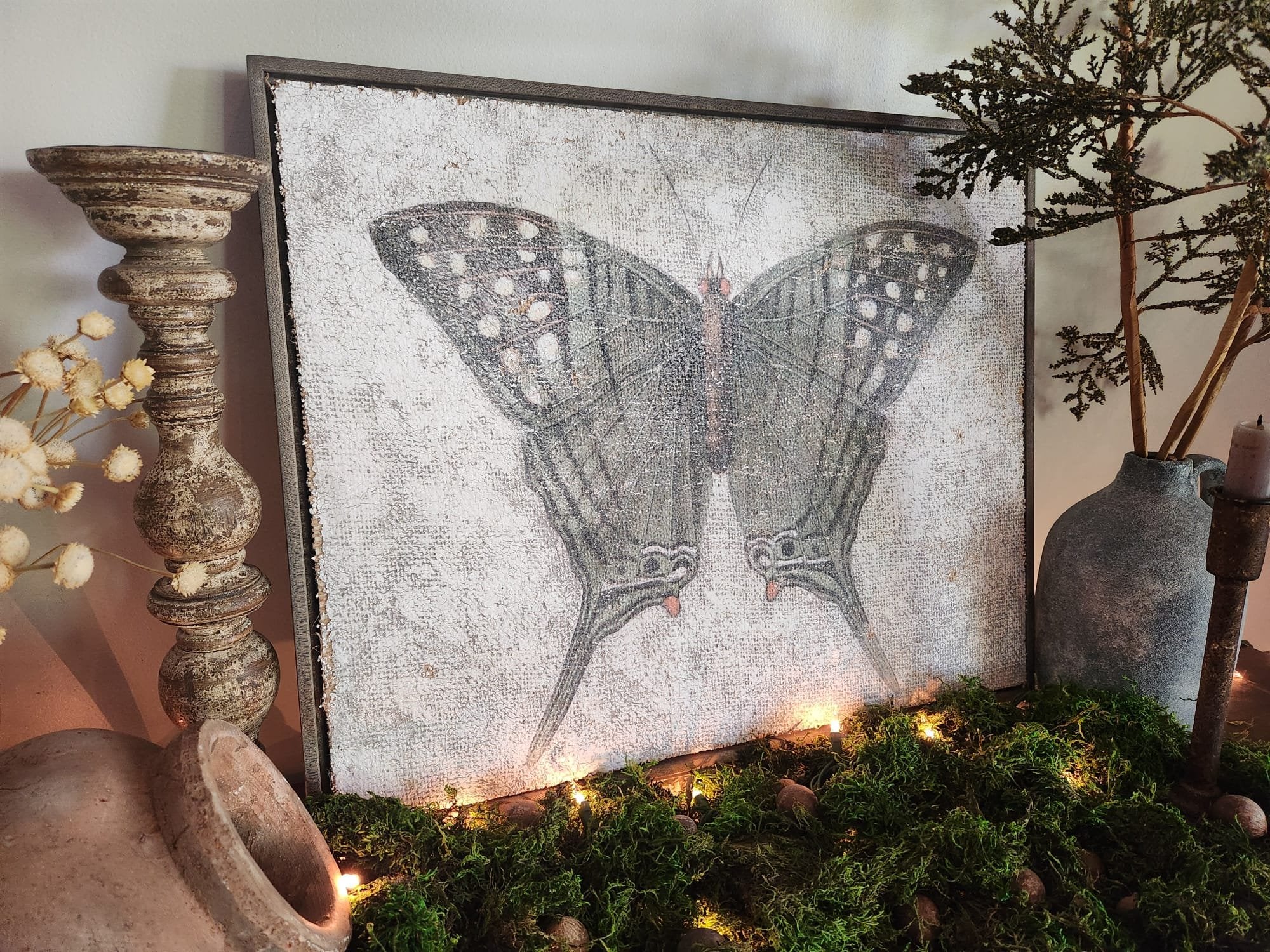 Green Swordtail Butterfly