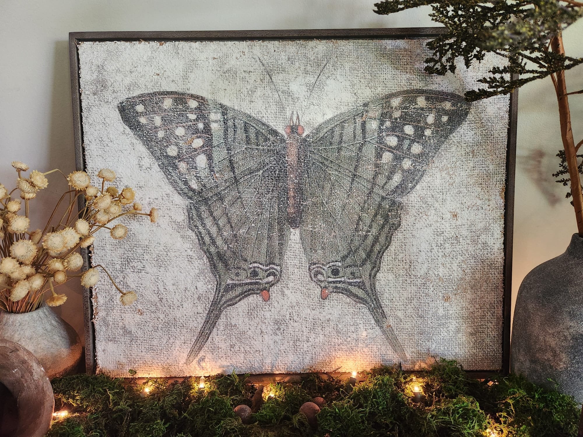 Green Swordtail Butterfly