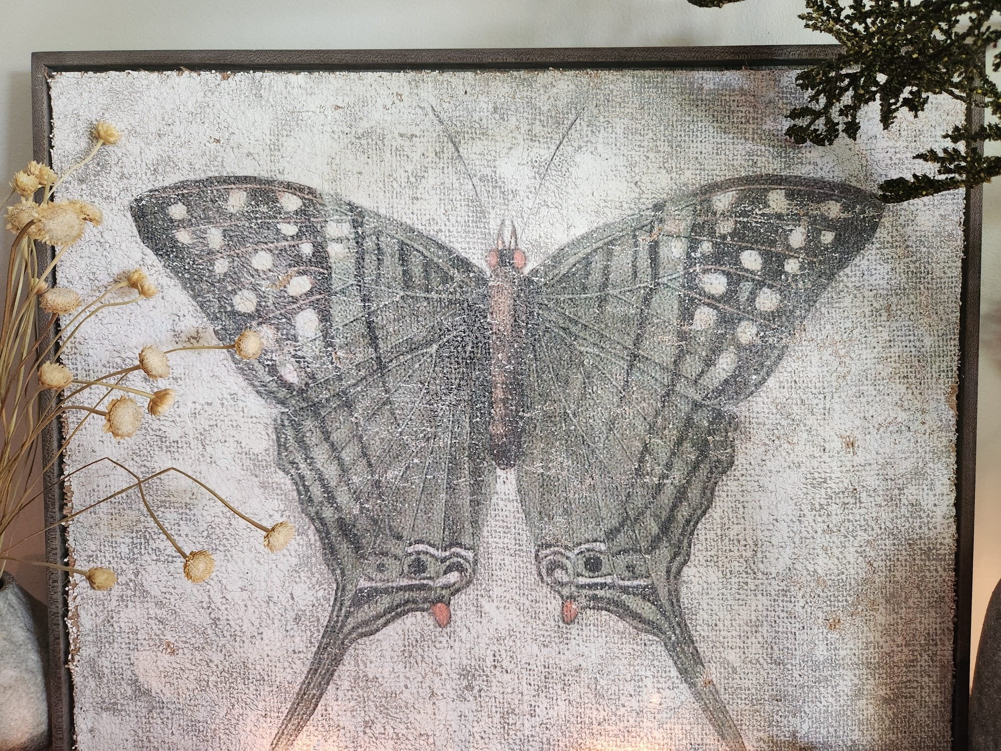 Green Swordtail Butterfly